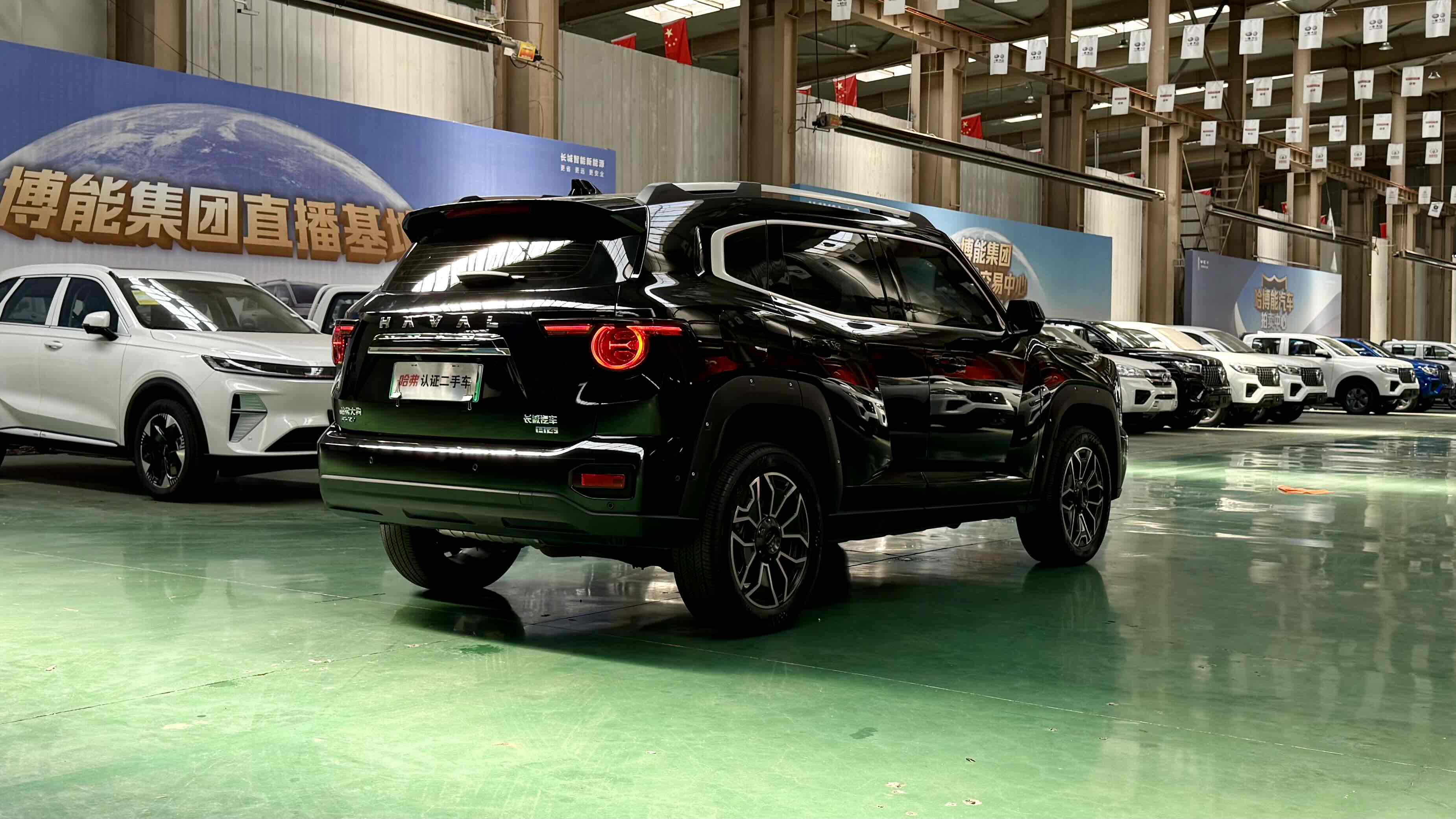 Haval X Dog 2 New Energy 2024 car image #10