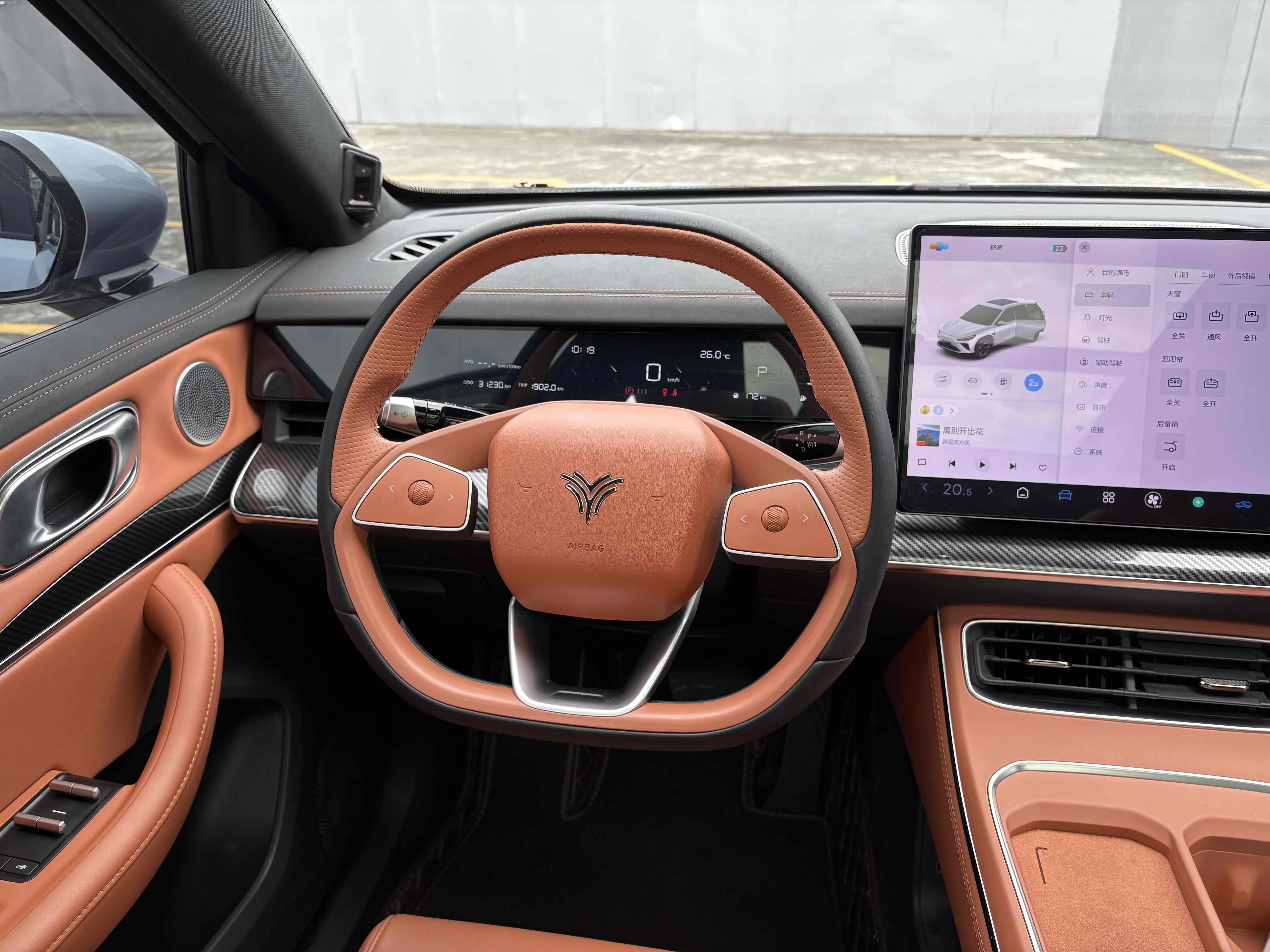 Neta L 2024 imagen de coche #10