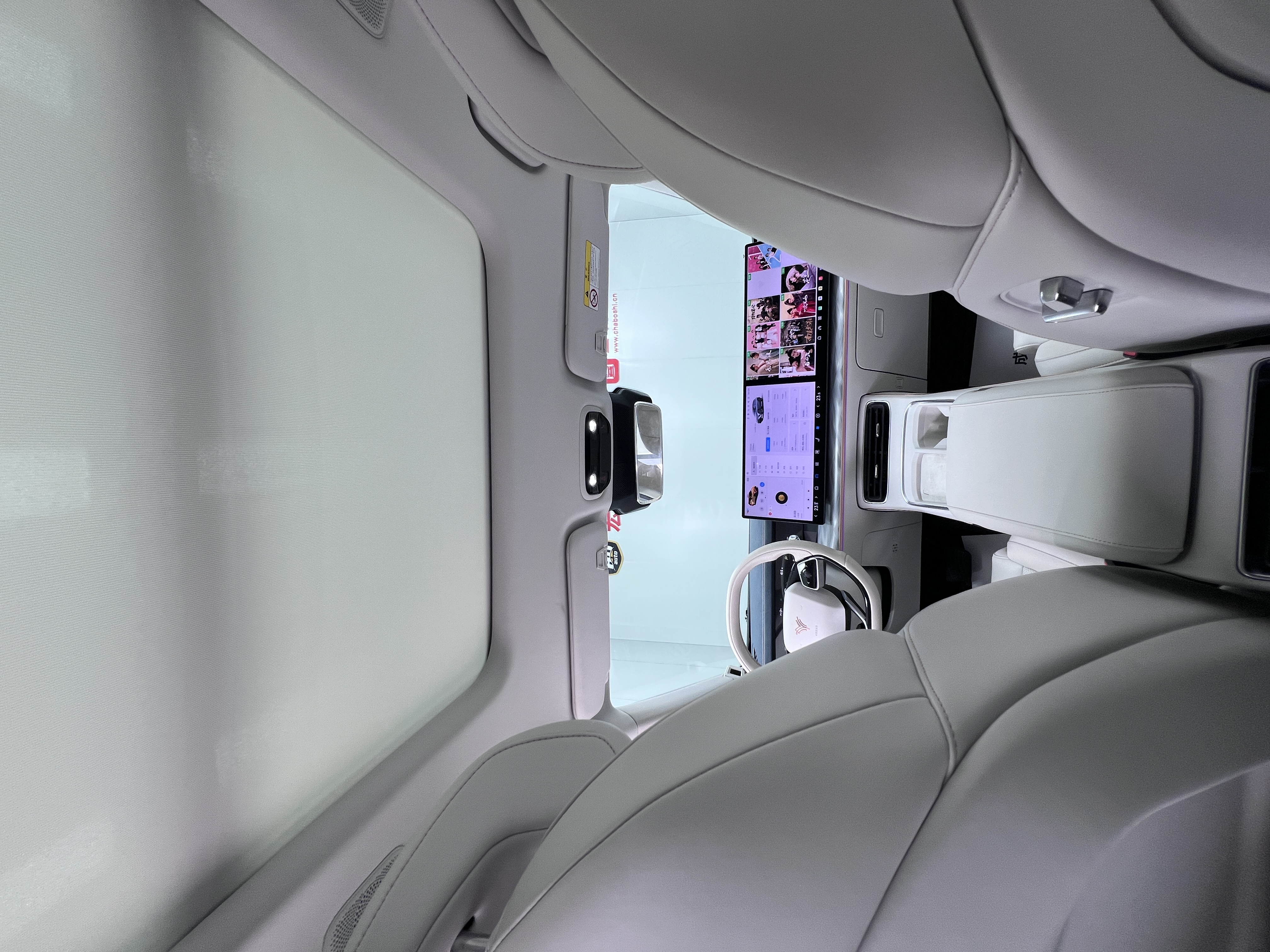 Neta L 2024 imagen de coche #10