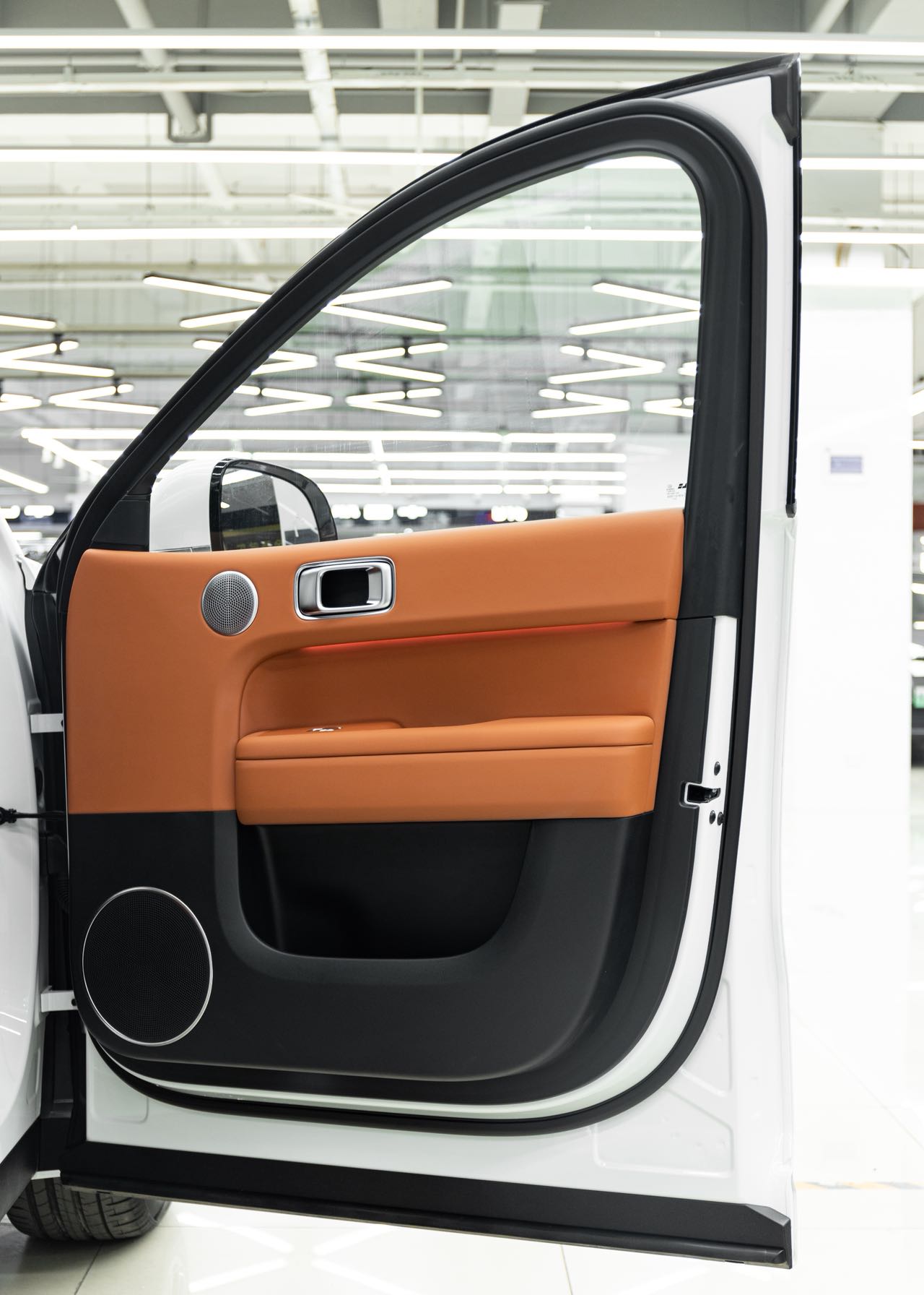 Li L6 2024 imagen de coche #10