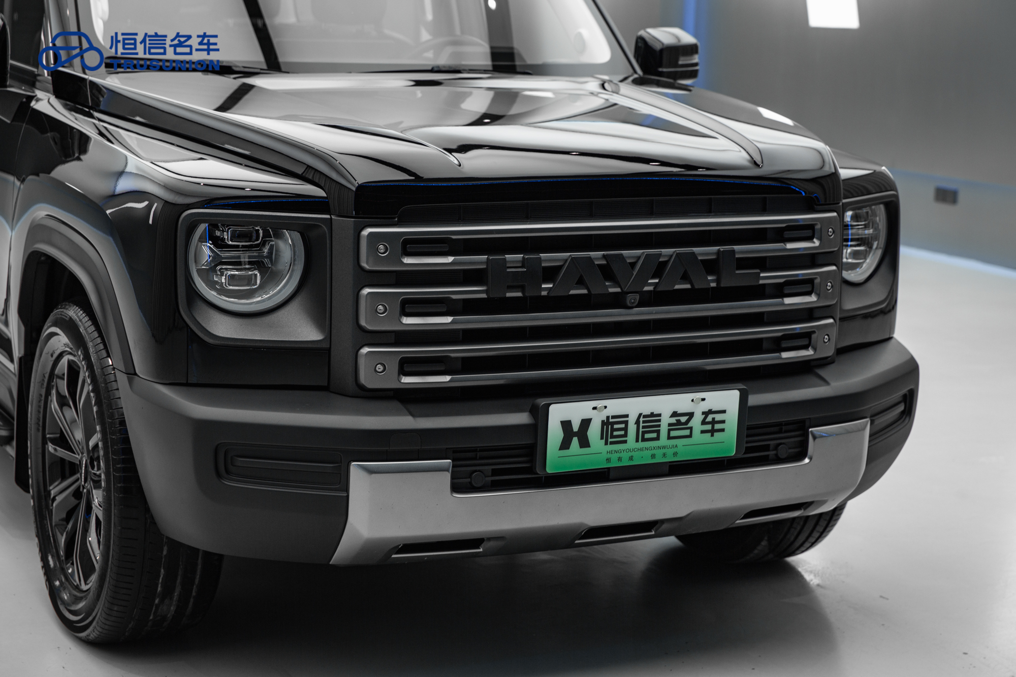 Haval Raptor 2024 immagine di auto #10