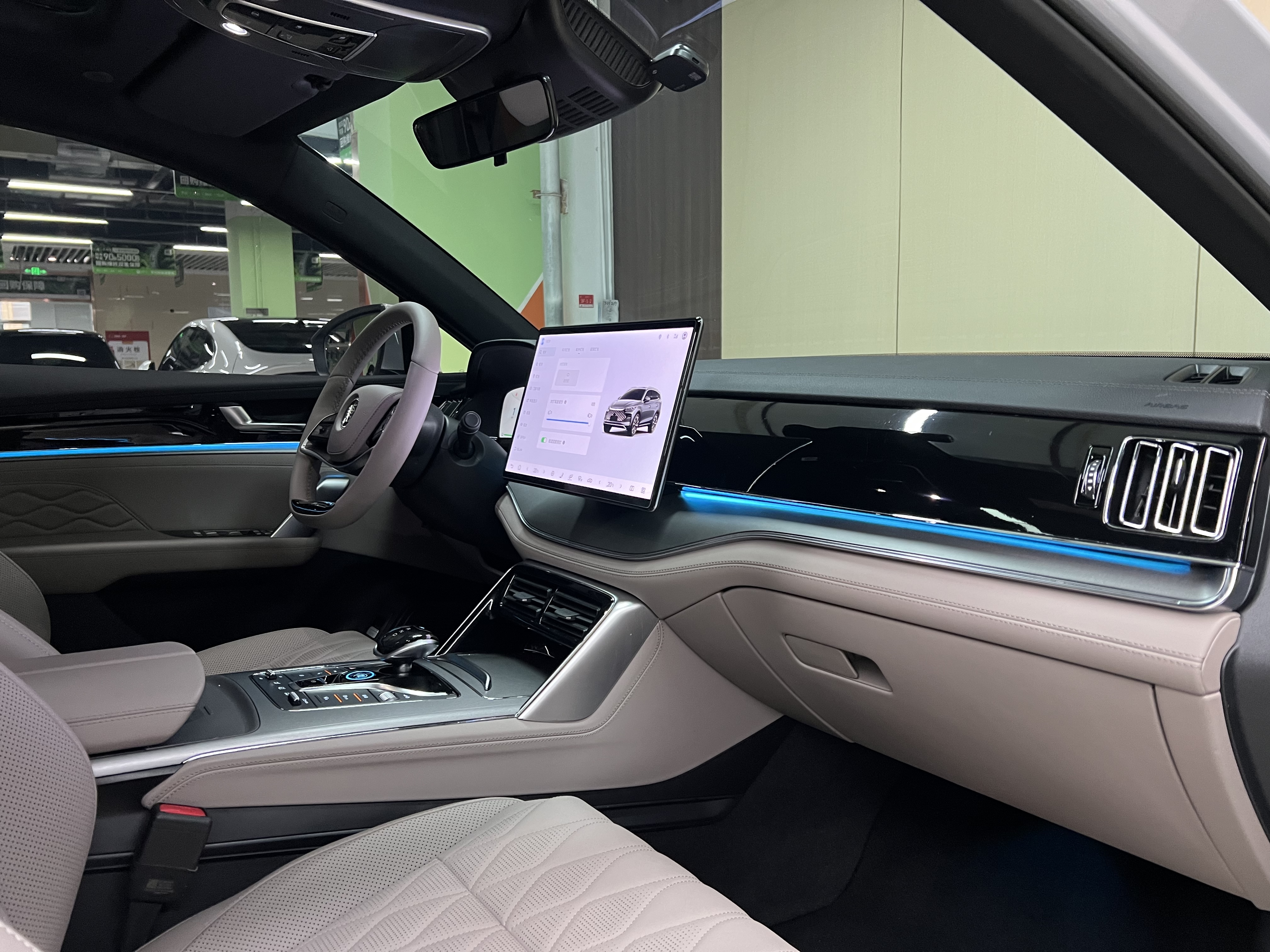 BYD Tang New Energy 2024 car image #10