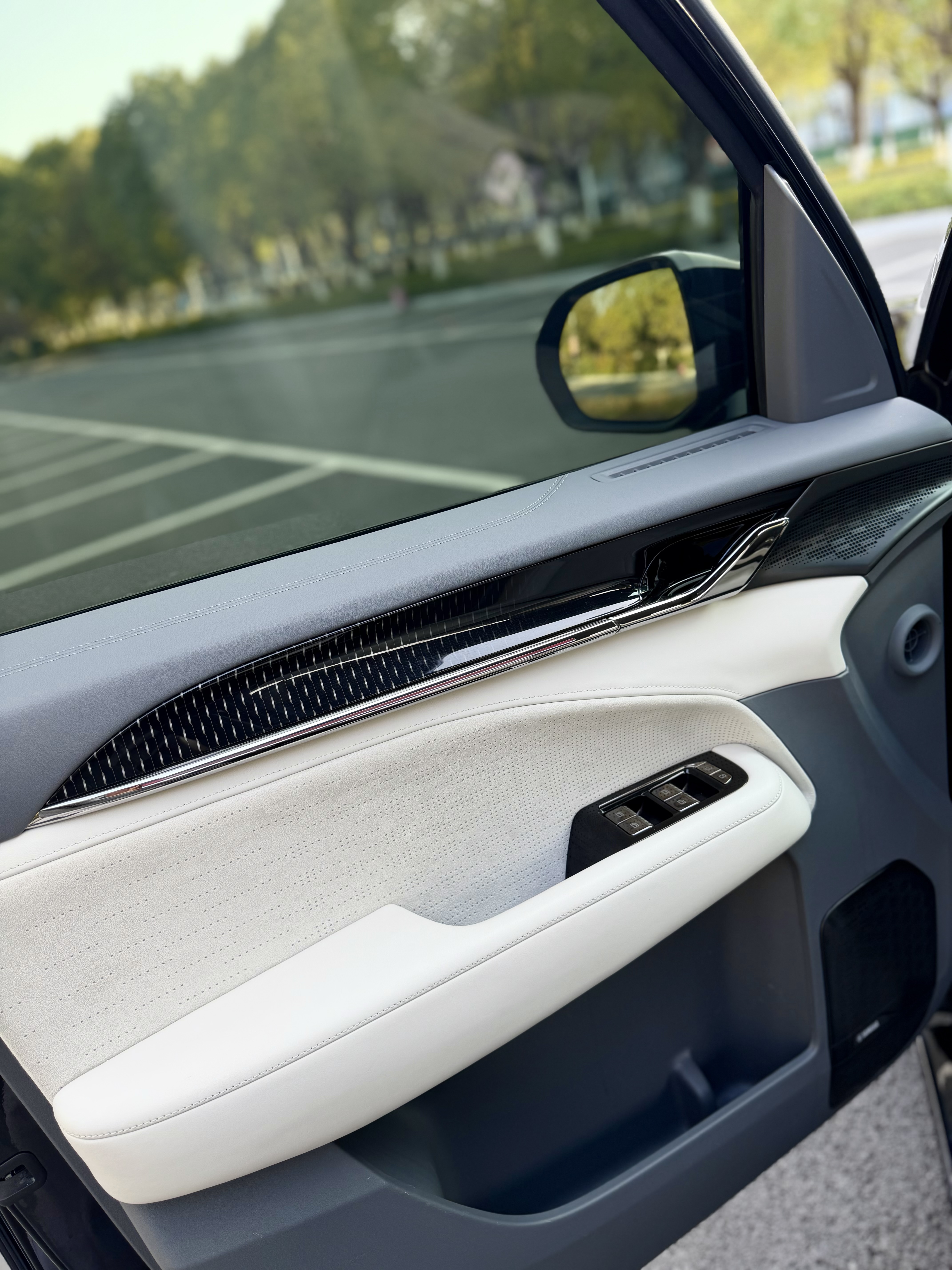 极氪 极氪009 2024 汽车图片 #10