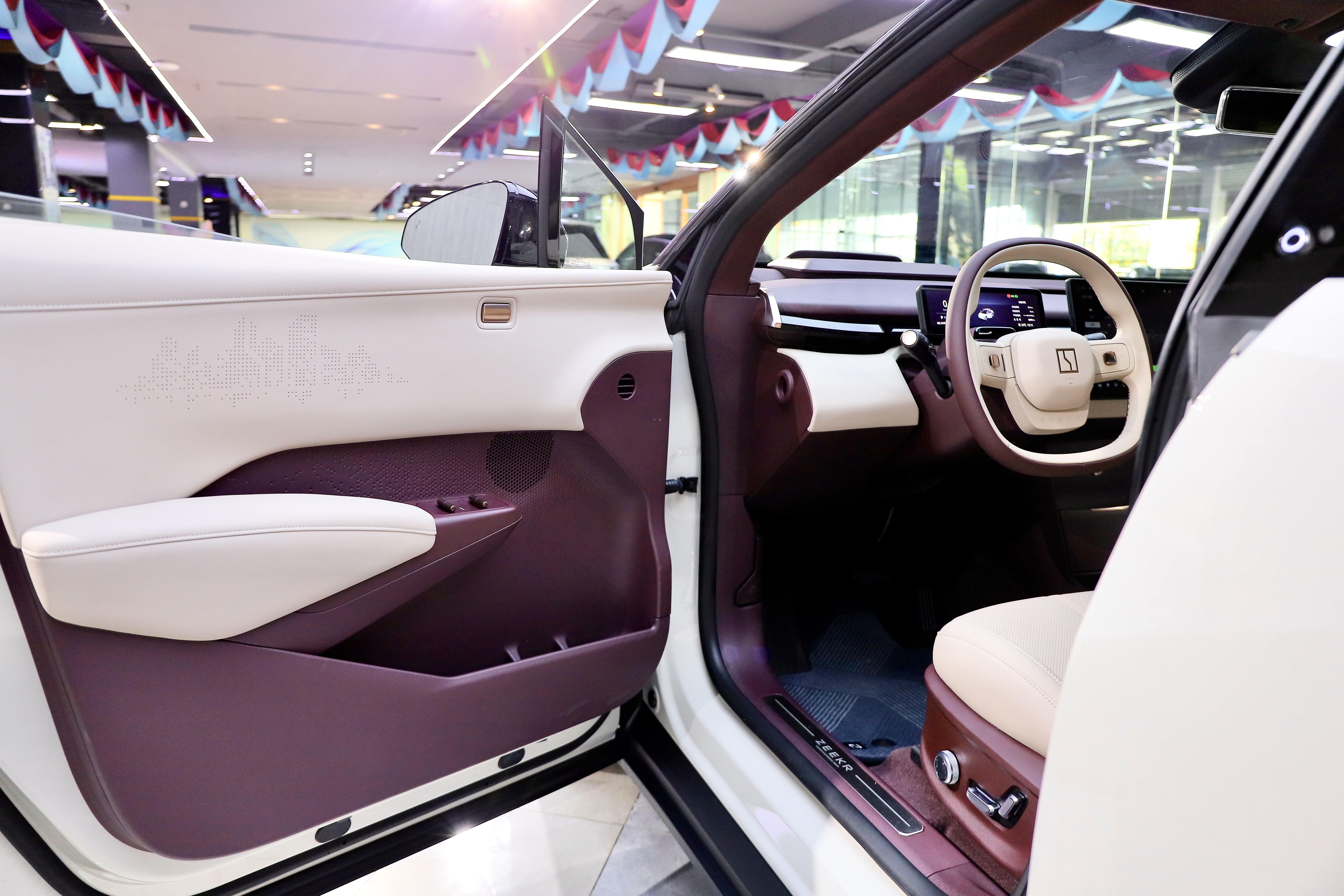 极氪 极氪X 2024 汽车图片 #10