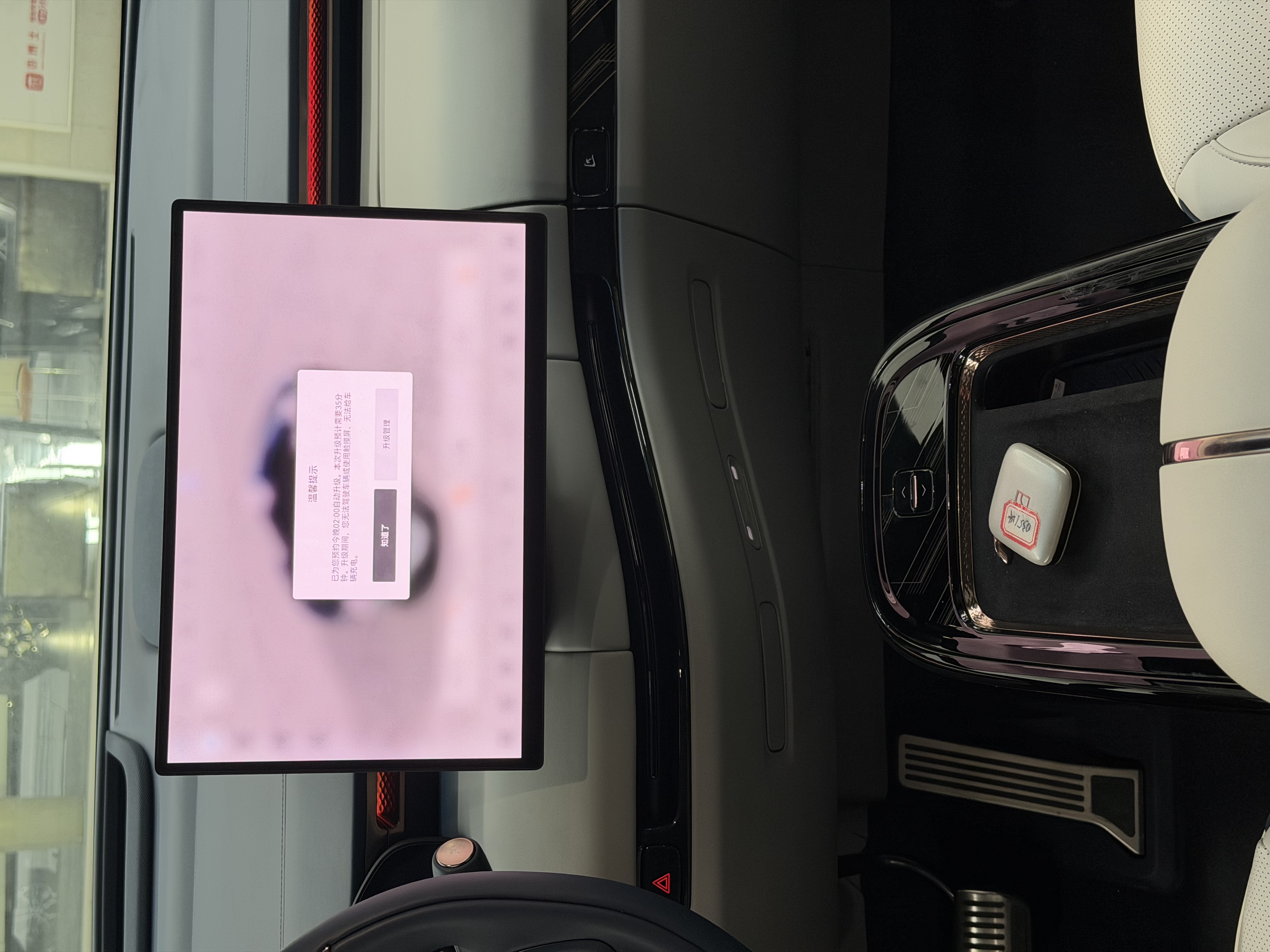 极氪 极氪MIX 2024 汽车图片 #10