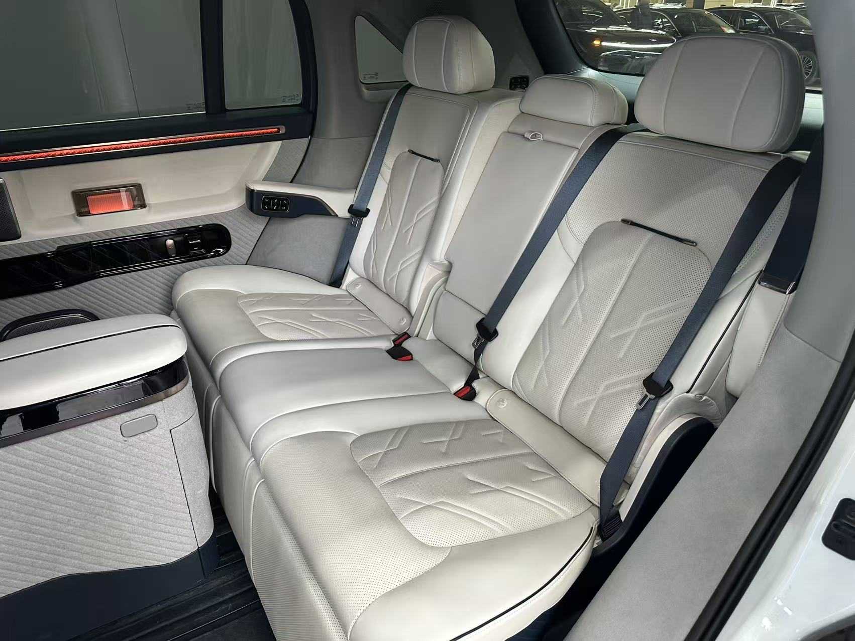 极氪 极氪MIX 2024 汽车图片 #10