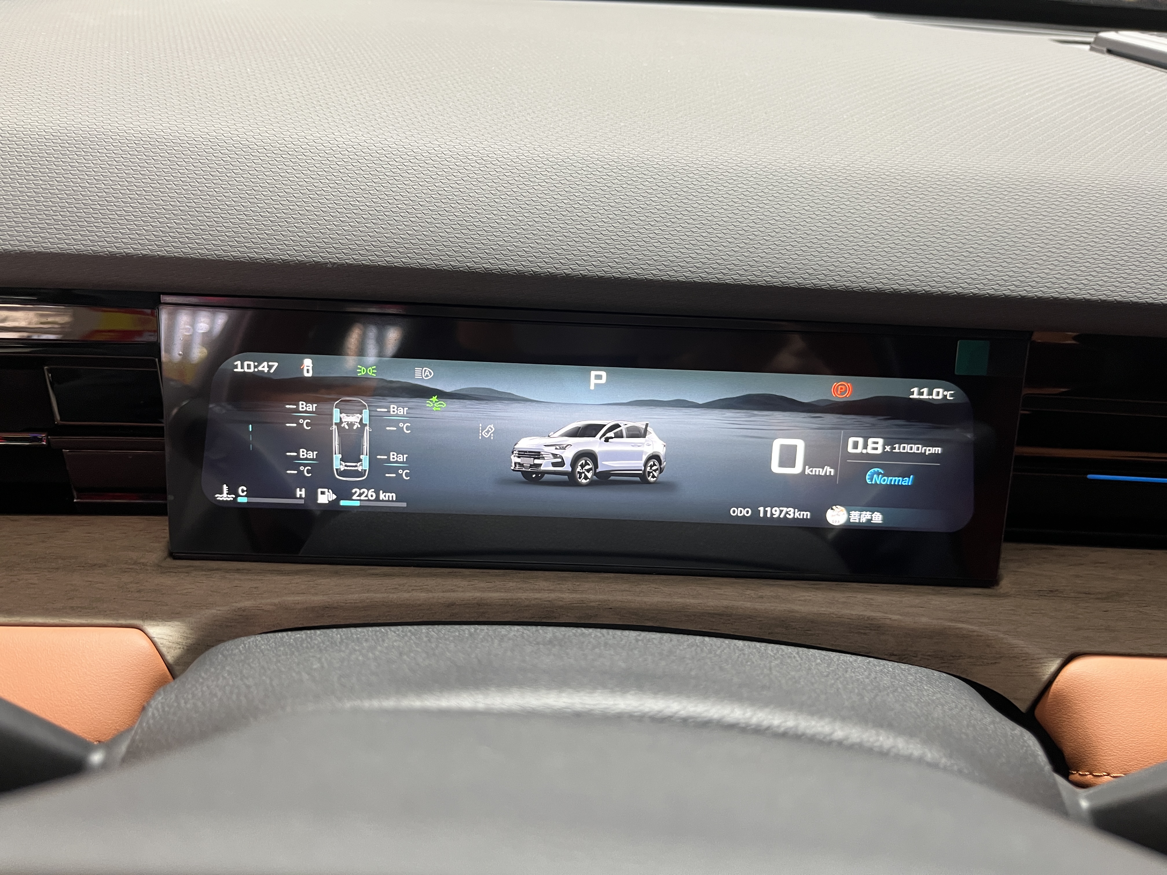 Jetour Dashing 2024 car image #10