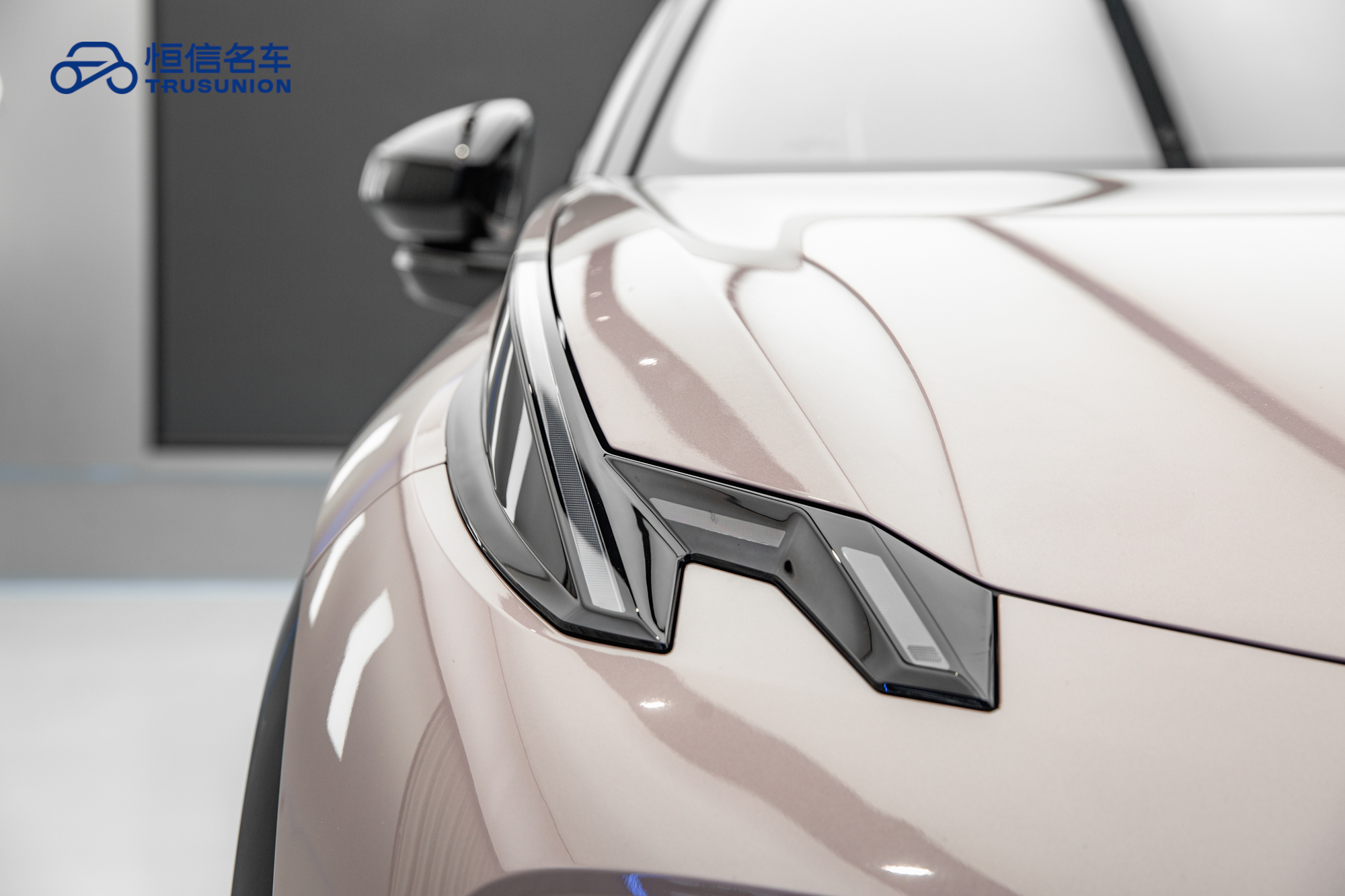 极氪 极氪X 2024 汽车图片 #10