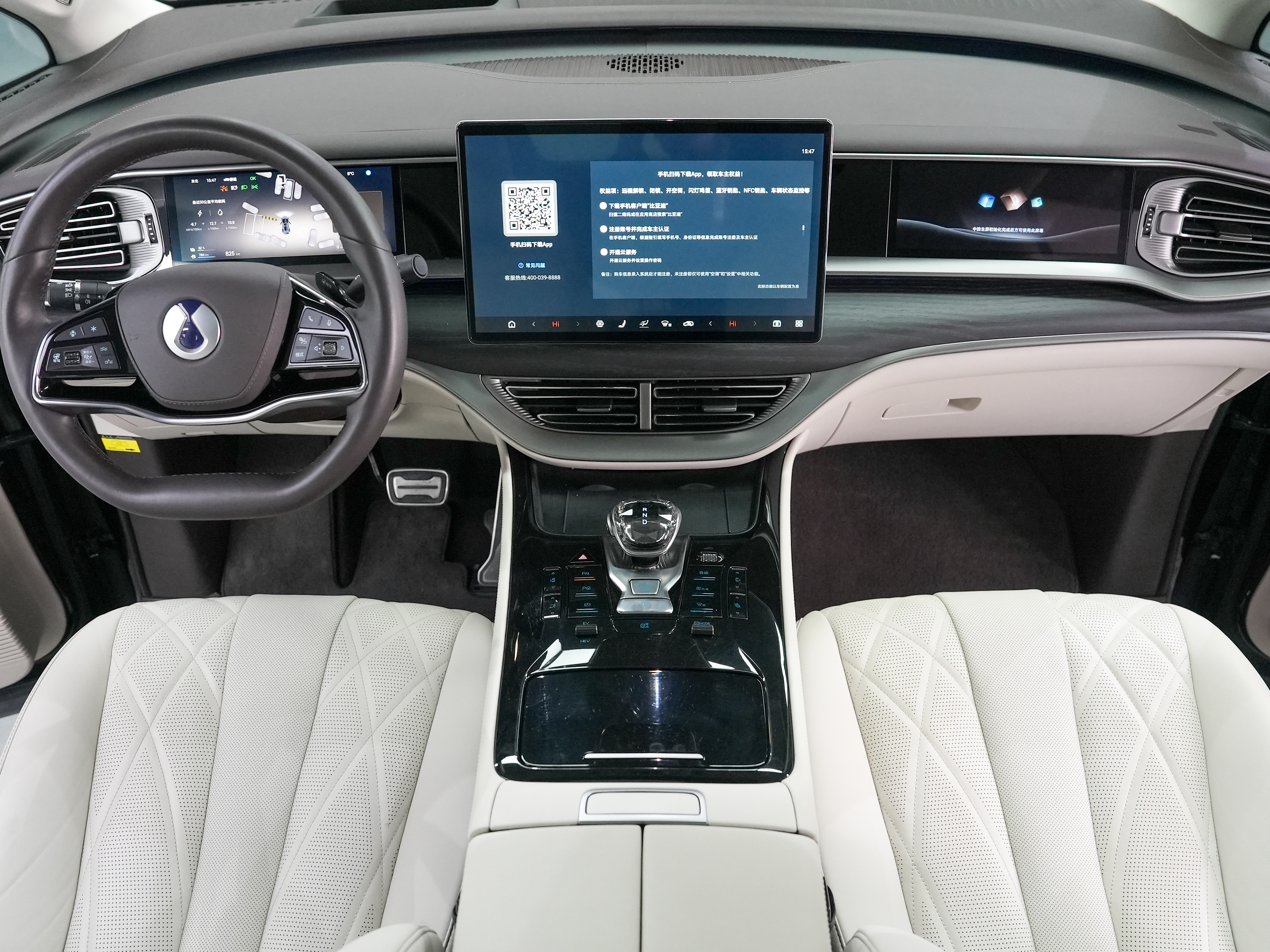 Denza D9 2025 image de voiture #10