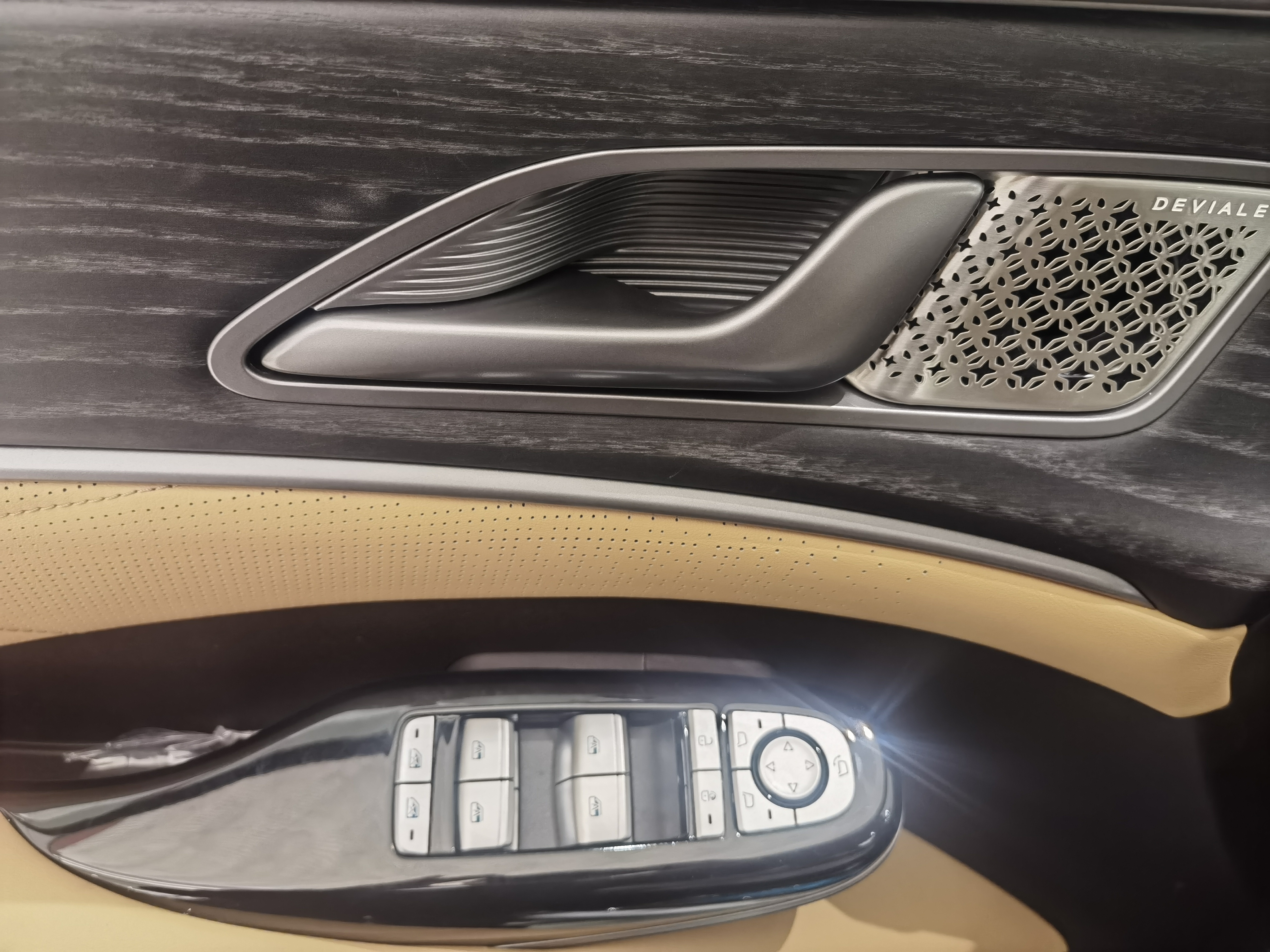 Denza D9 2025 imagen de coche #10