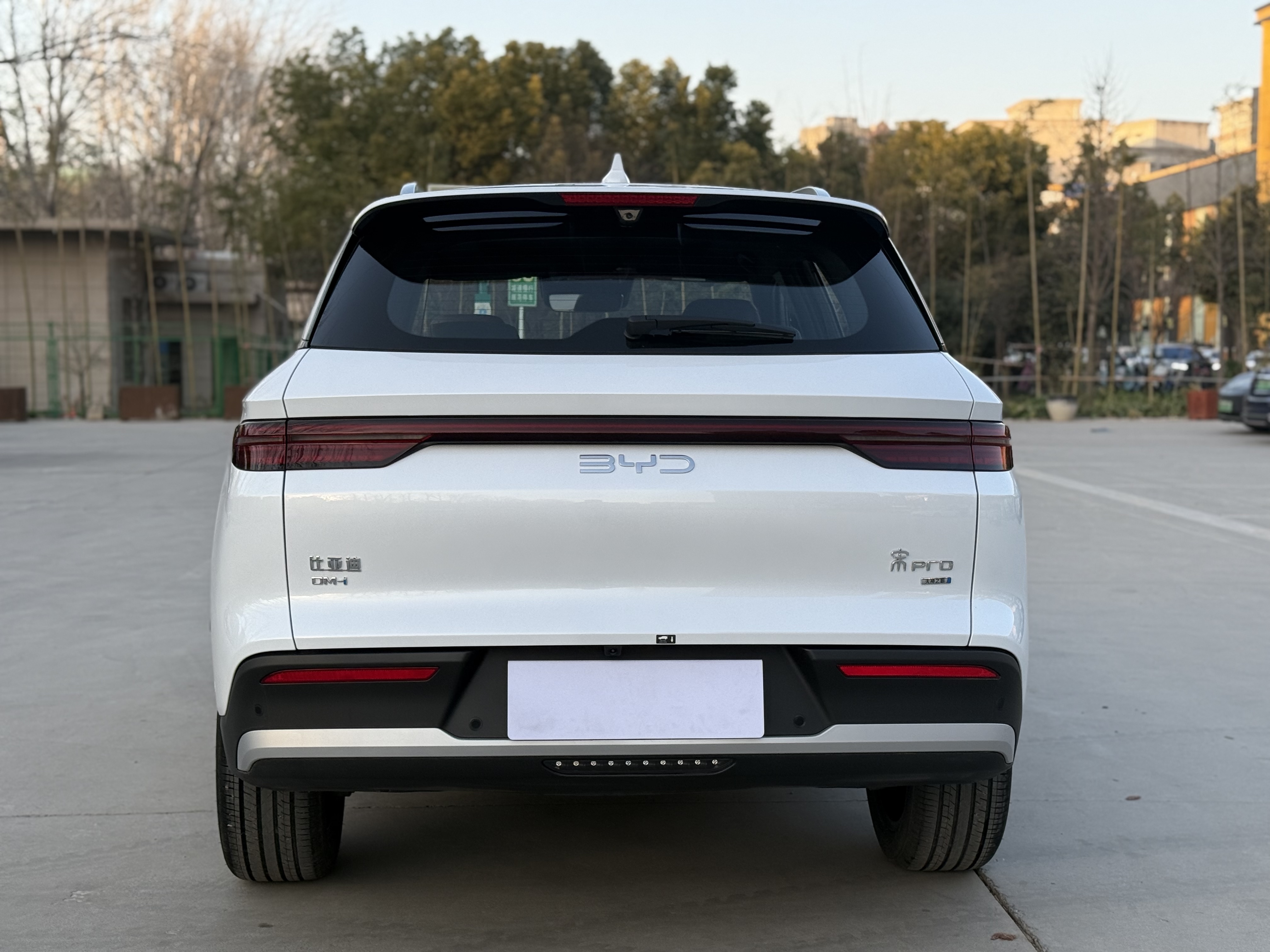 BYD Song Pro New Energy 2025 car image #10