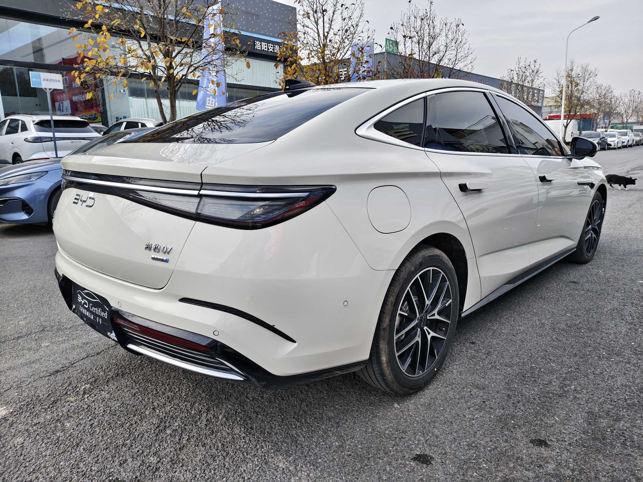 BYD Seal 07 DM-i 2025 car image #10