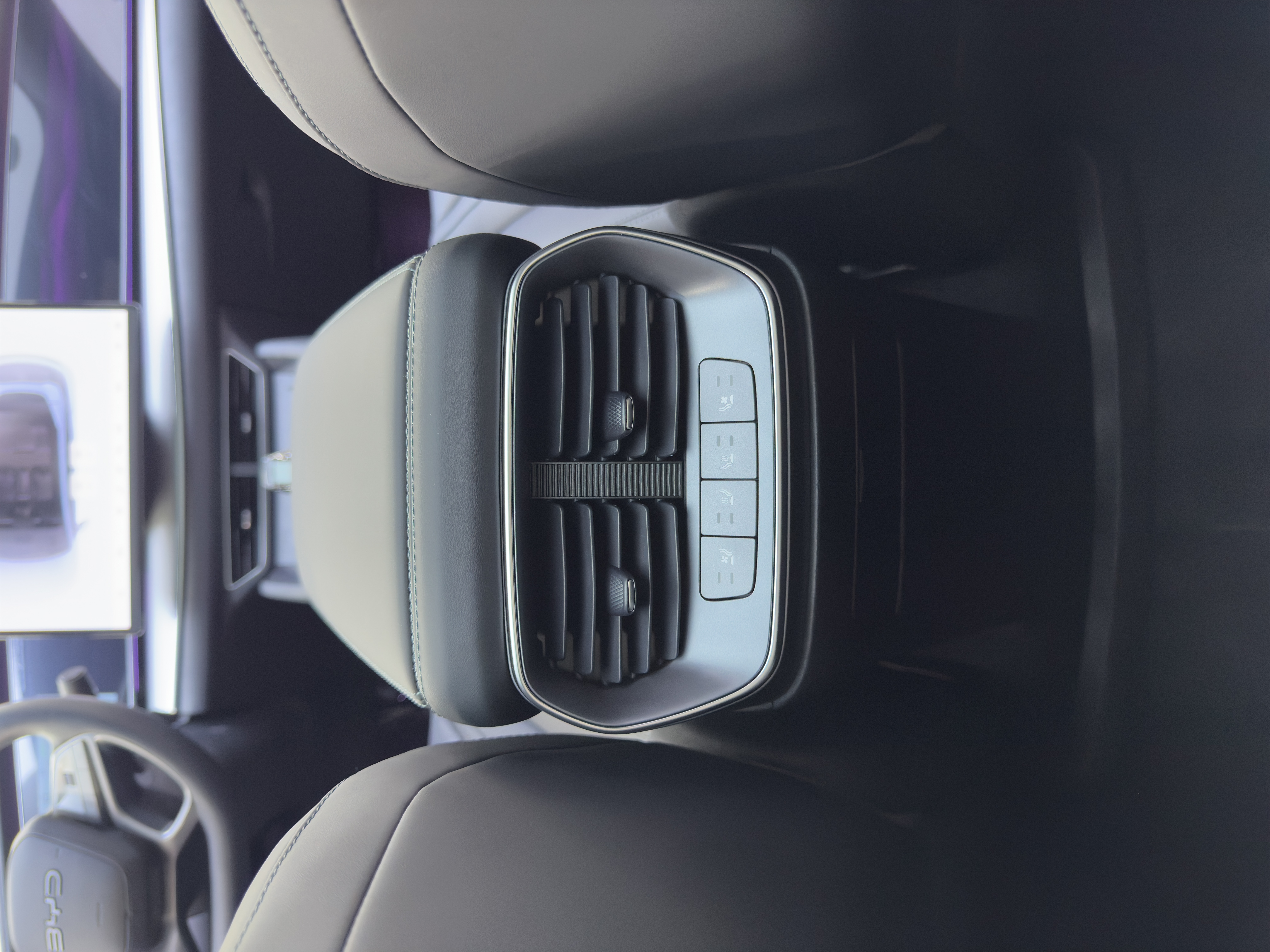 BYD Sea Lion 07 EV 2025 car image #10