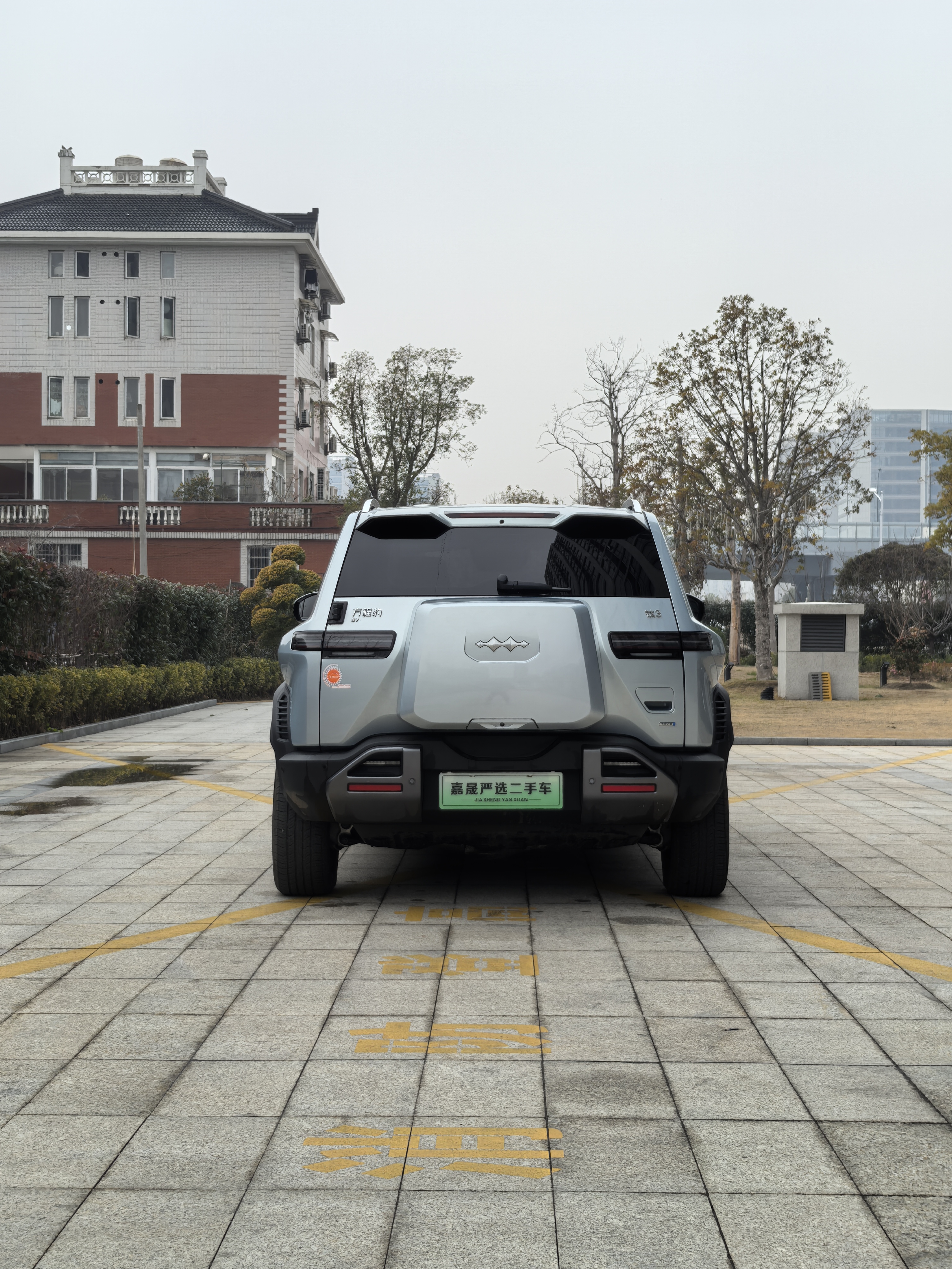 FangChengBao Tiger 3 2025 car image #10