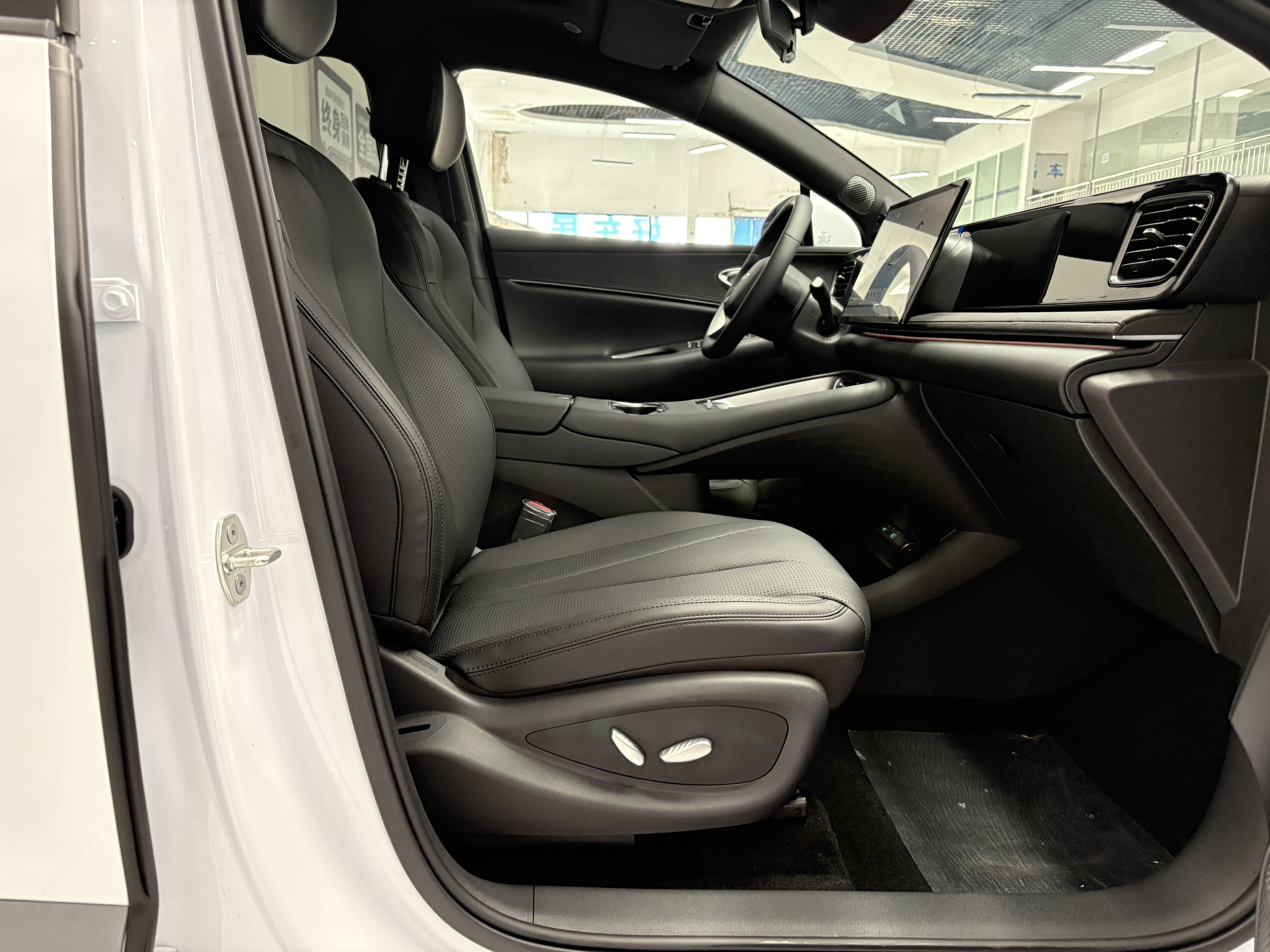 BYD Sea Lion 06 New Energy 2025 car image #10