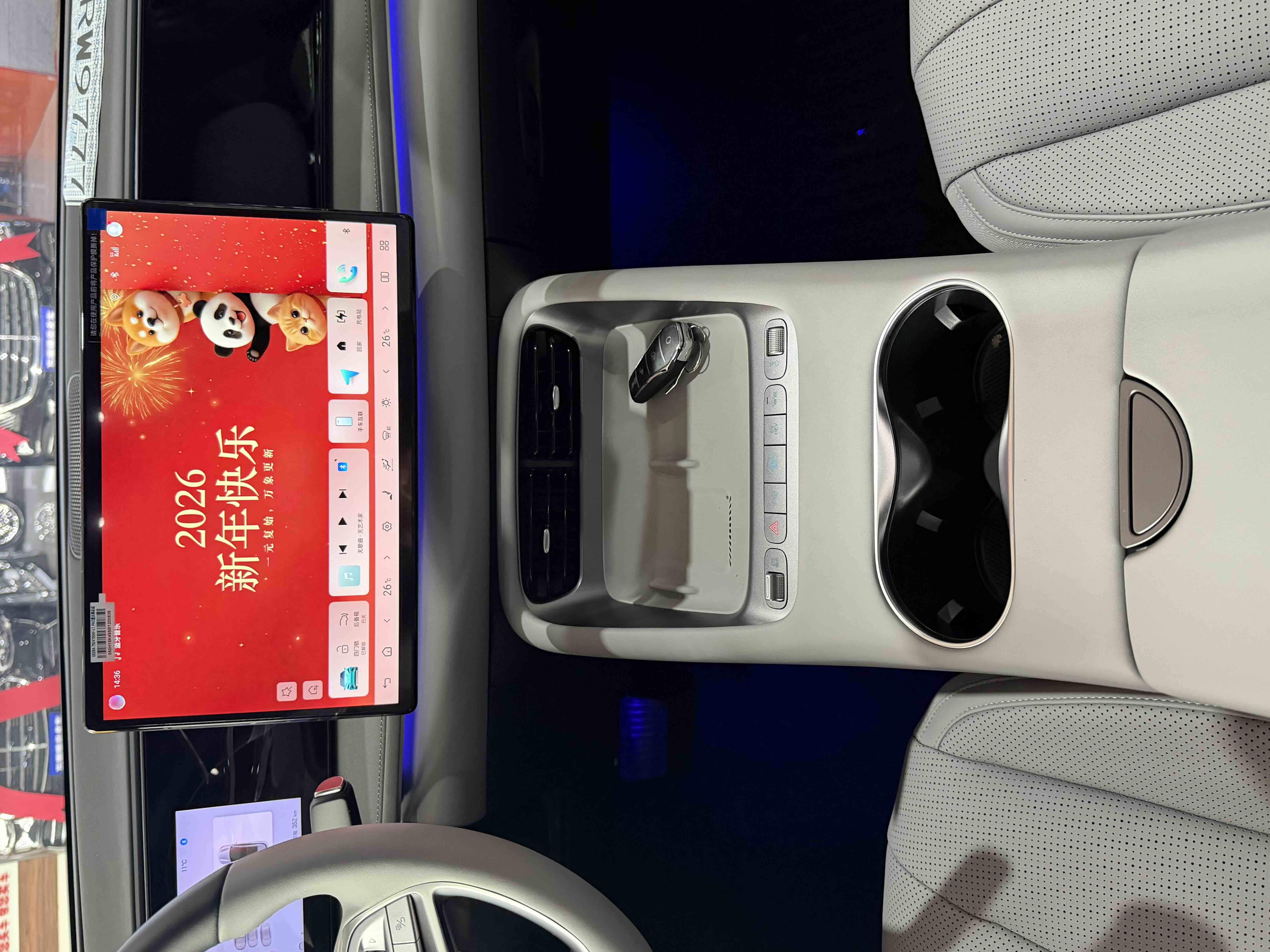 BYD Sea Lion 06 New Energy 2026 image de voiture #10