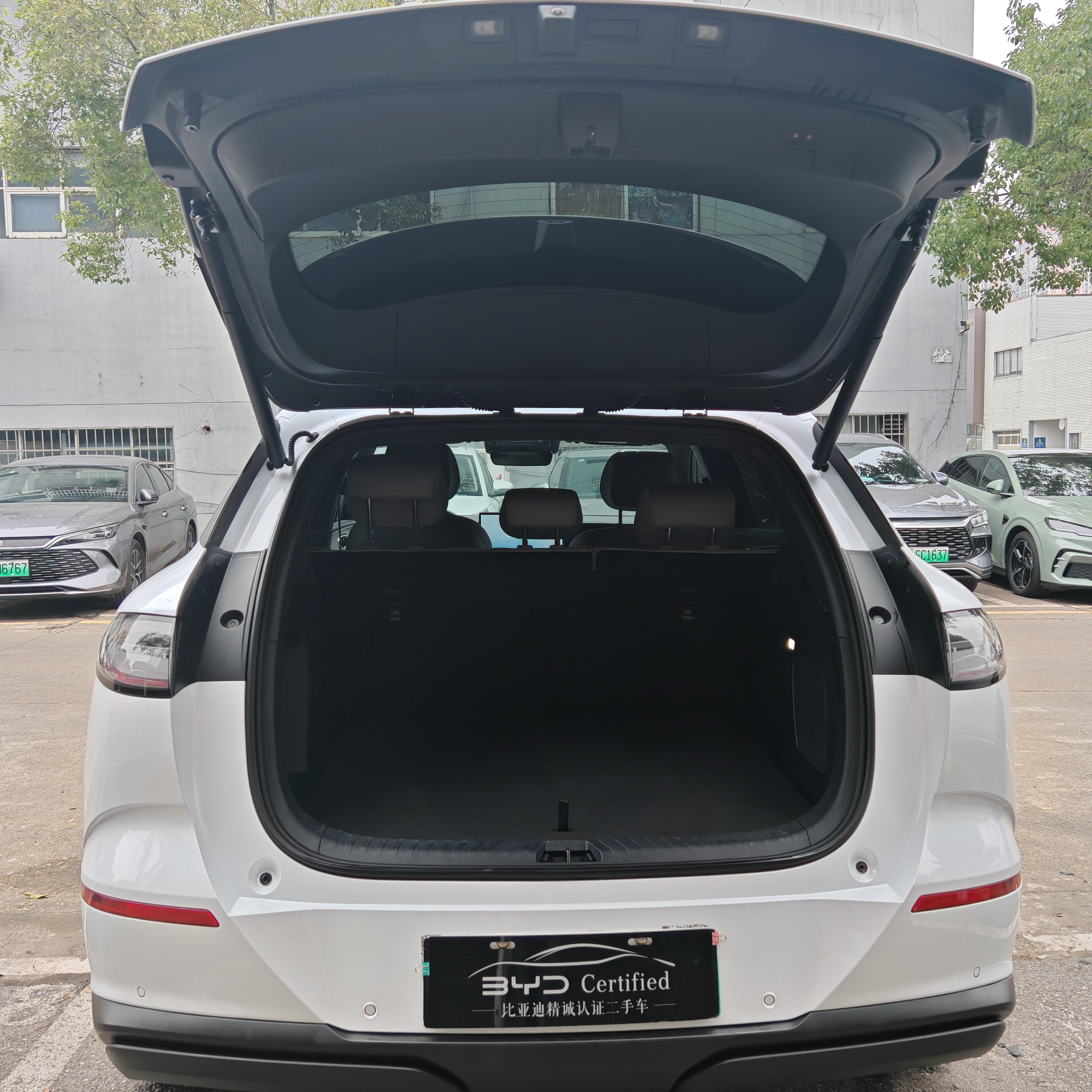 BYD Sea Lion 06 New Energy 2025 car image #10