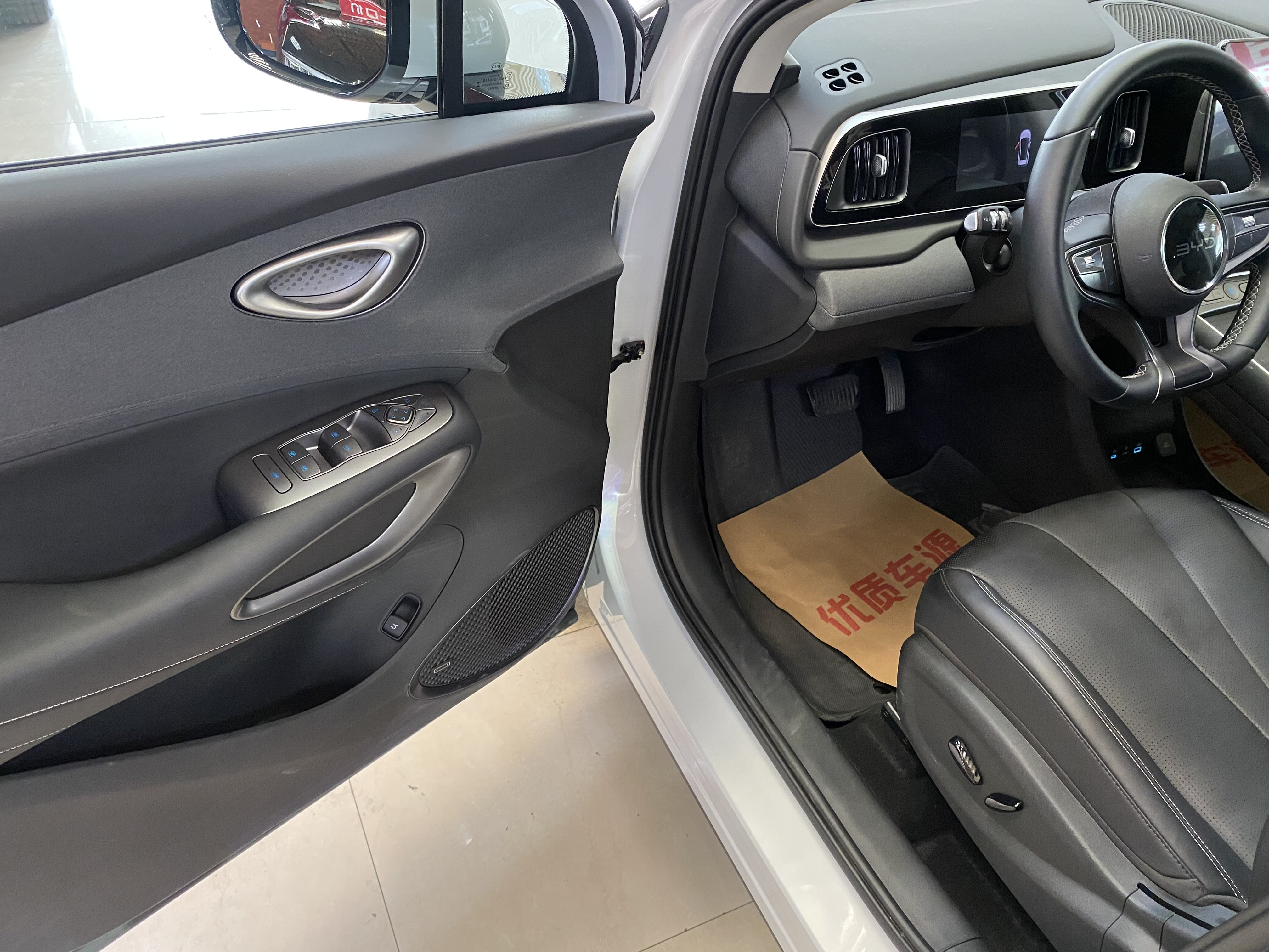 BYD Sea Lion 05 EV 2025 car image #10