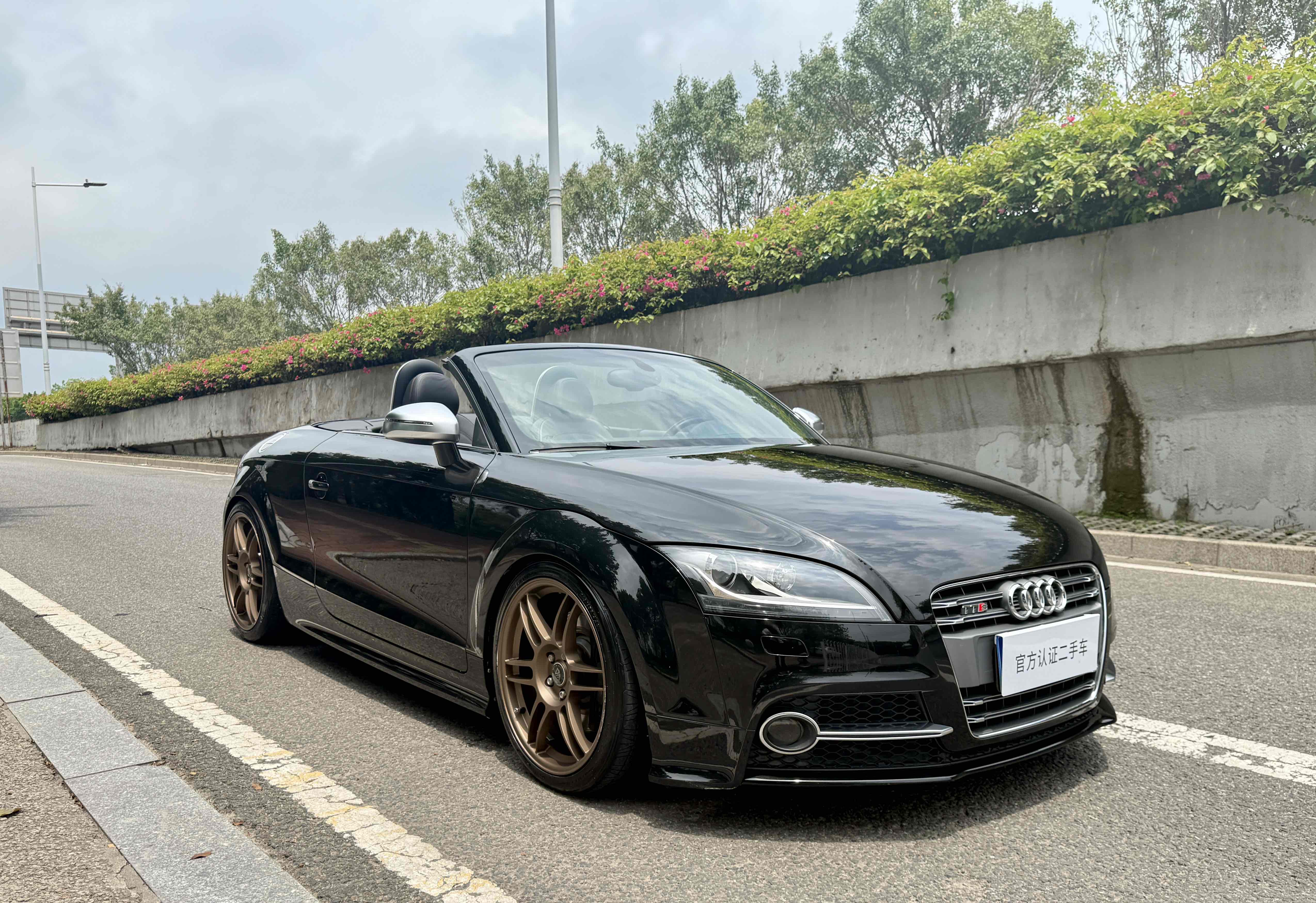 Audi TTS 2011 car image #10