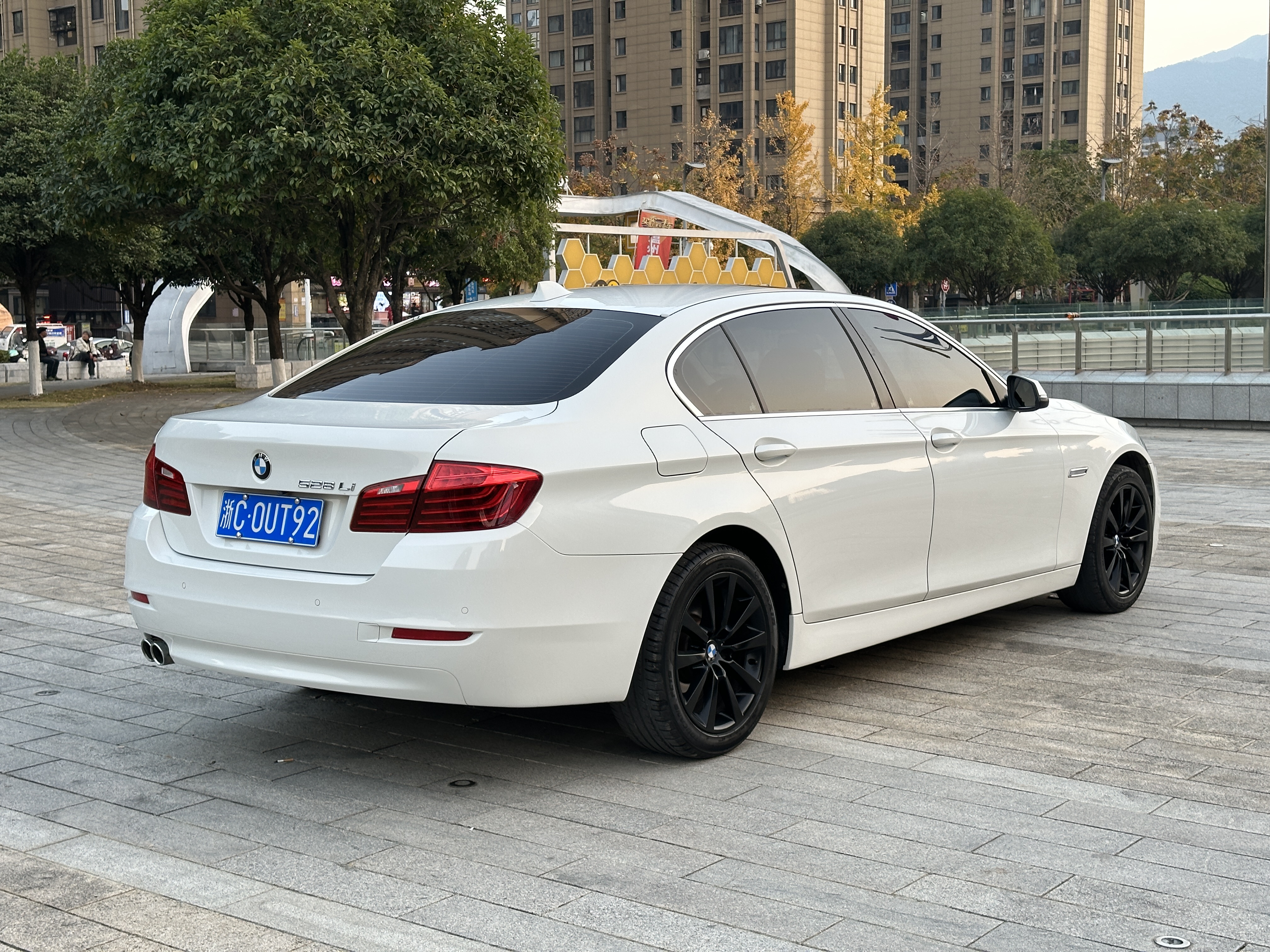 BMW 5 Series 2014 car image #10