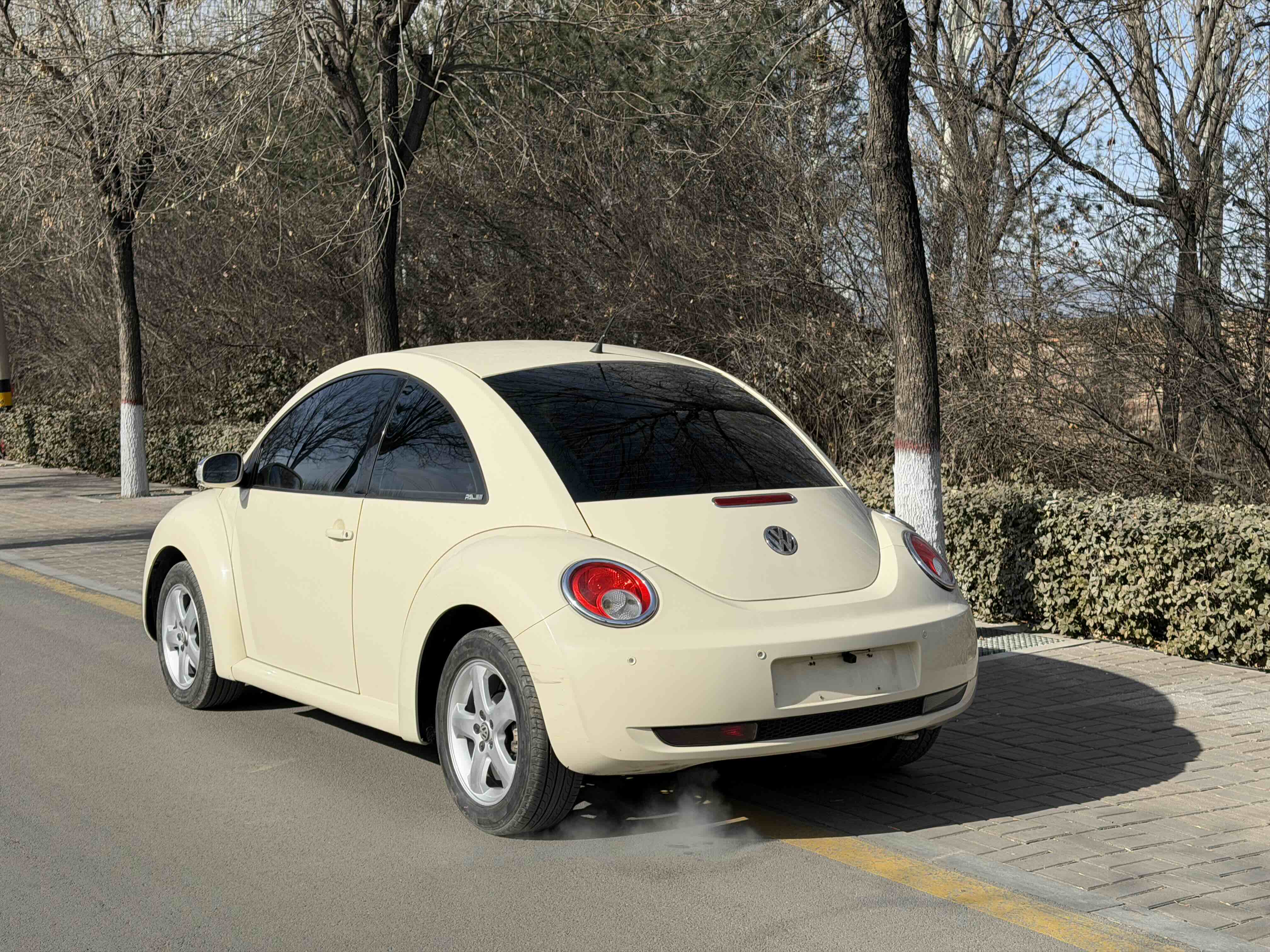 Volkswagen Beetle 2010 immagine di auto #10