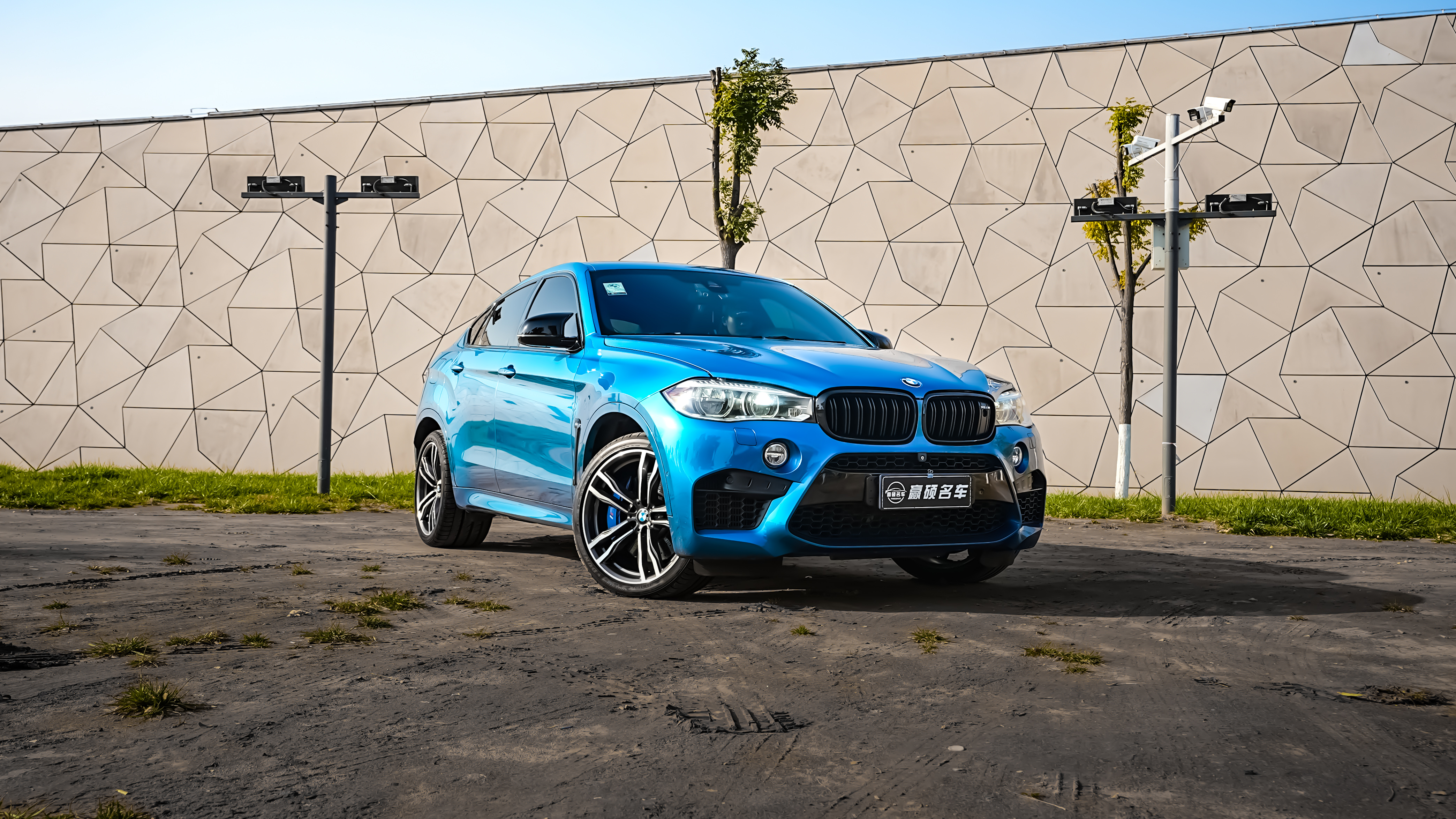 BMW X6 M 2016 car image #10