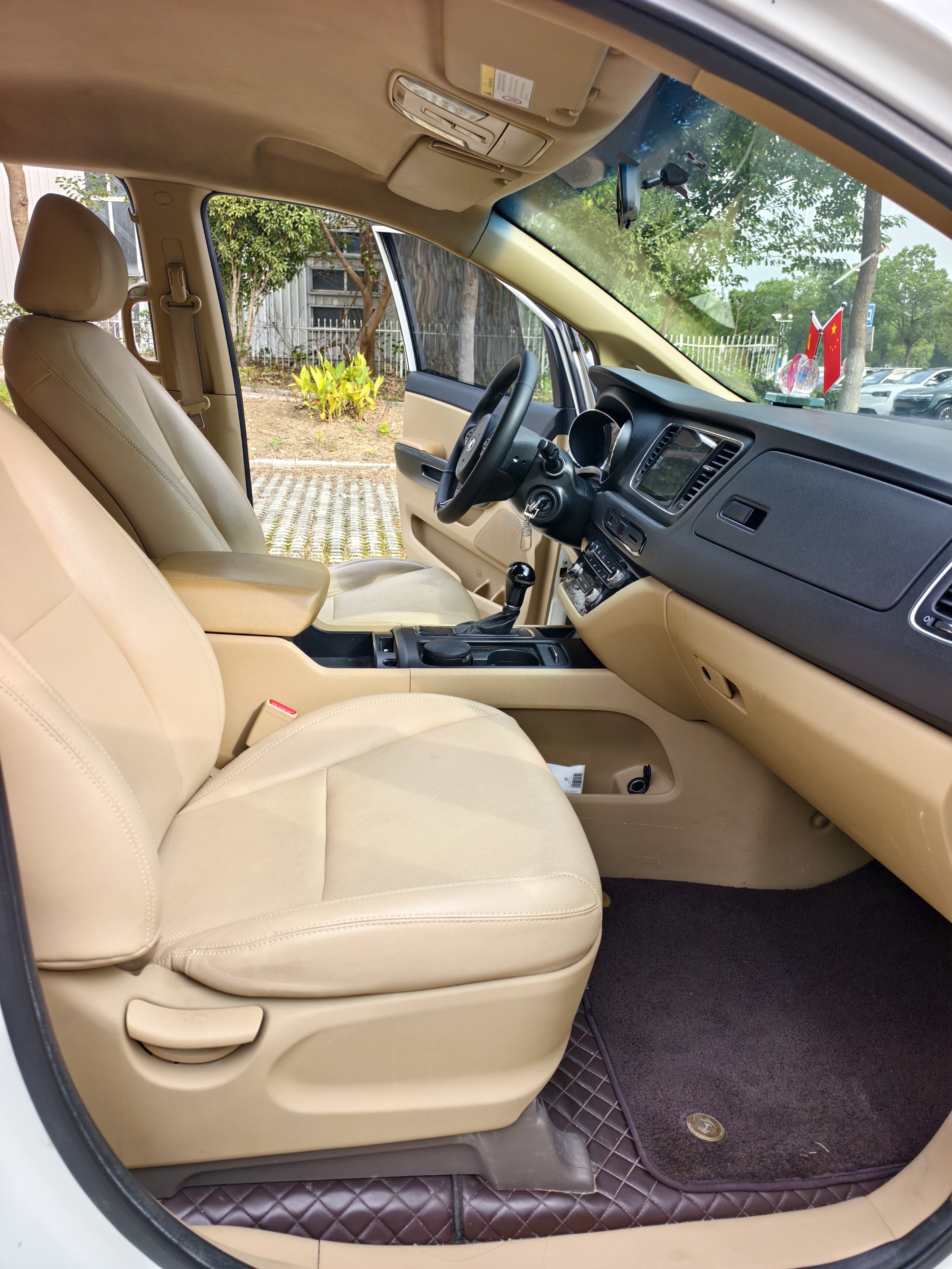 Kia Carnival (Imported) 2016 car image #10