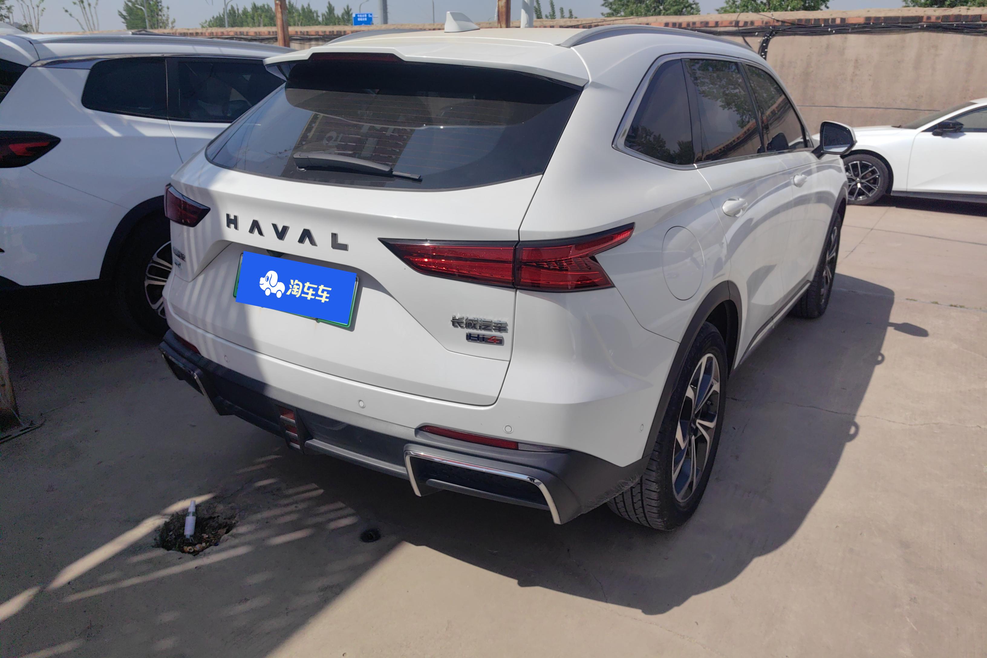 Haval Fierce Dragon MAX 2023 immagine di auto #10
