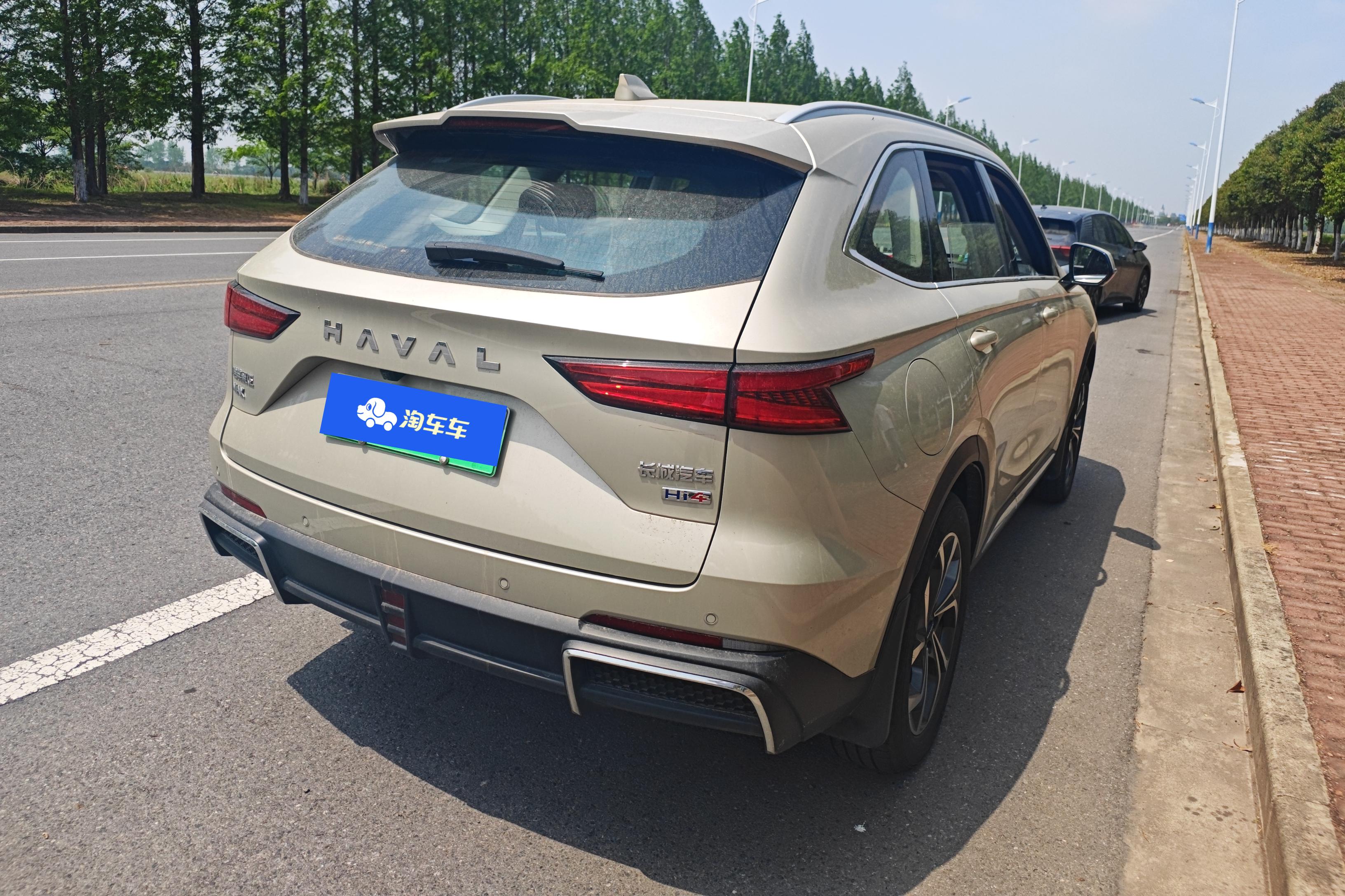 Haval Fierce Dragon MAX 2024 car image #10