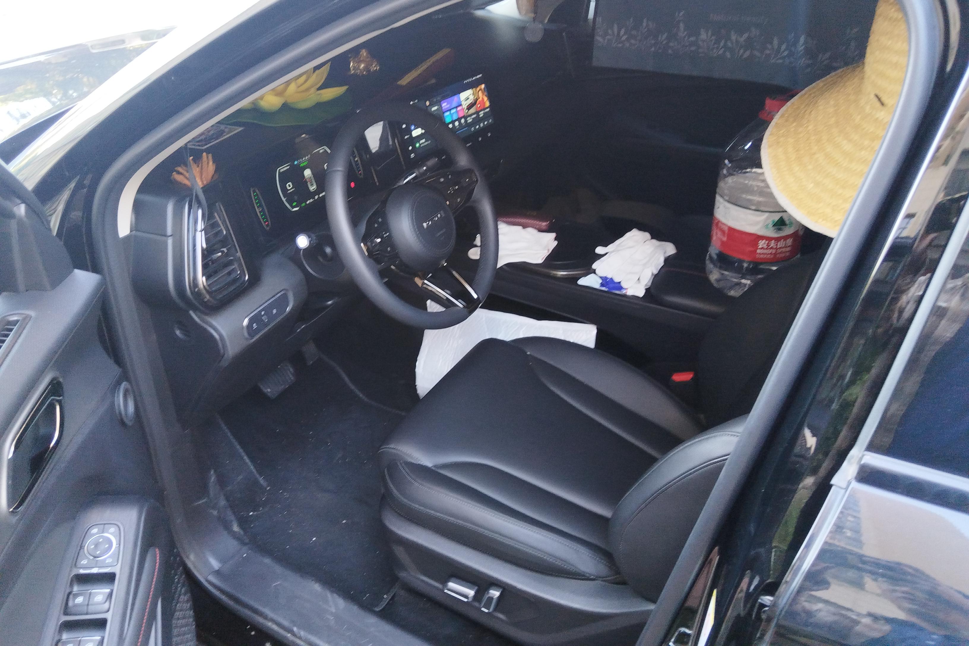 Haval Fierce Dragon 2024 car image #10