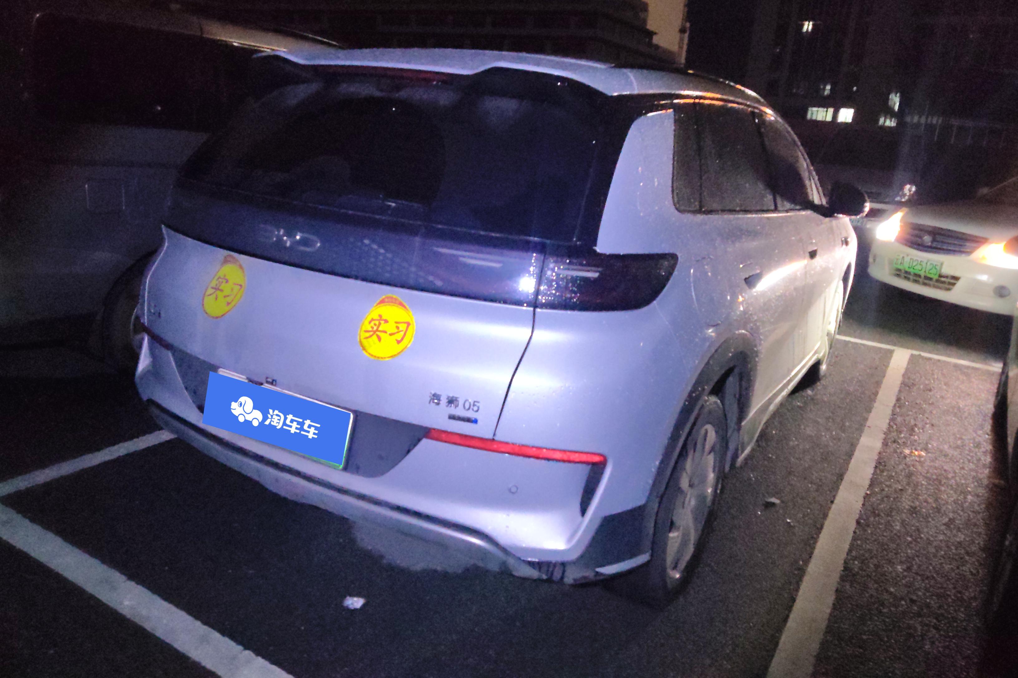 BYD Sea Lion 05 EV 2025 car image #10