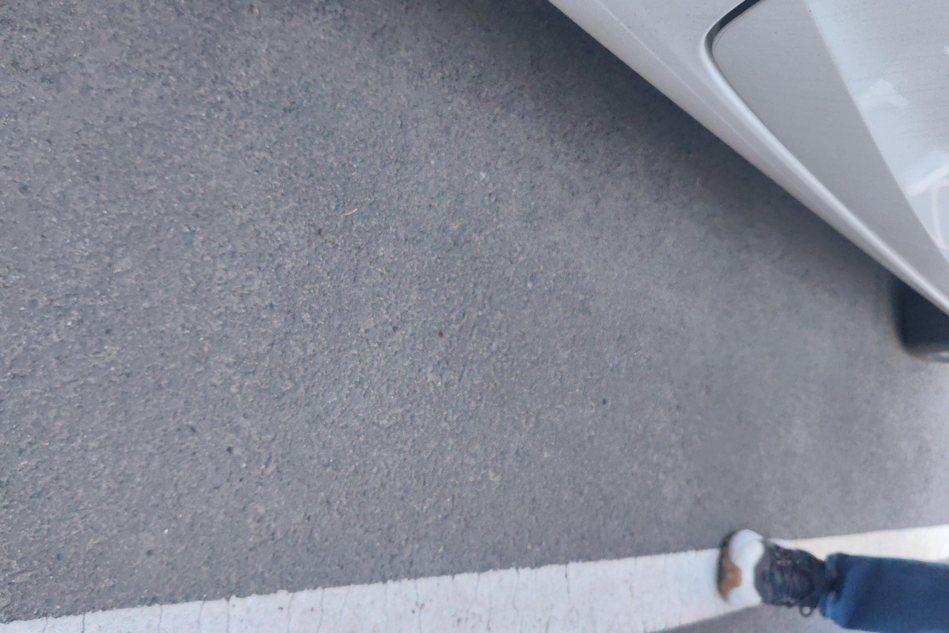 Ford Escort 2022 #10 Ford Escort 2022 car image #10