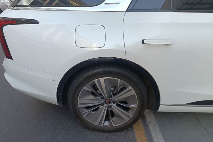 HongQi E-HS9 2023 car image #10