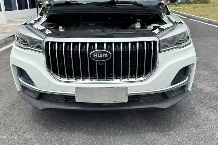 SWM斯威汽车 SWM斯威G01FF 2020 #10 SWM斯威汽车 SWM斯威G01FF 2020 汽车图片 #10