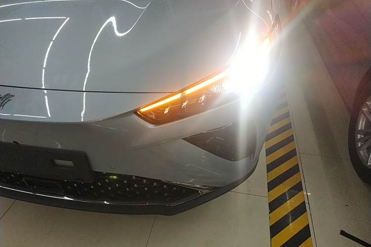 Neta L 2025 imagen de coche #10