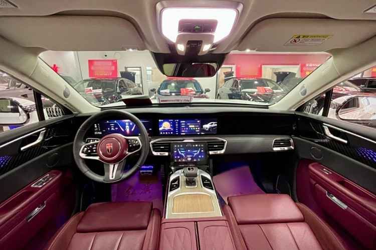 HongQi E-HS9 2024 car image #10