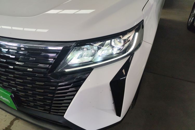 GEELY OkavangoPRO 2024 car image #10