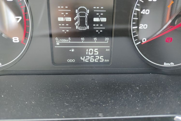 Jetour X70M 2020 car image #10