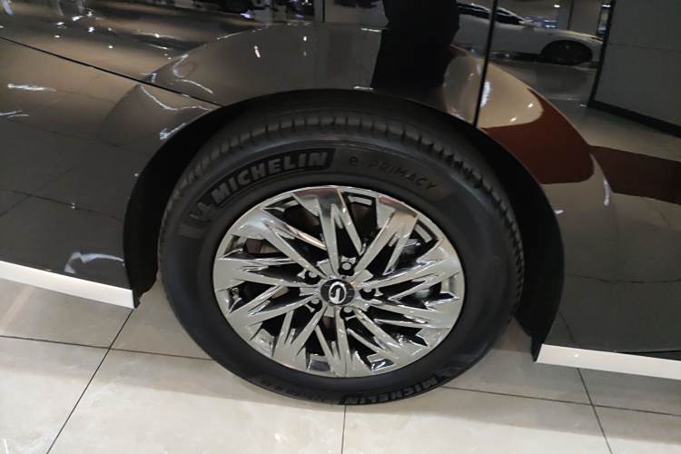 GAC Trumpchi Xiangwang M8 2025 car image #10