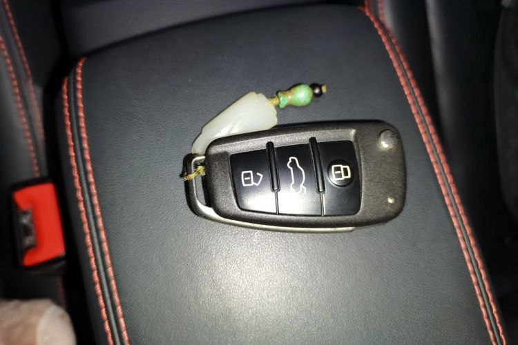 Audi RS 3 2019 car image #10