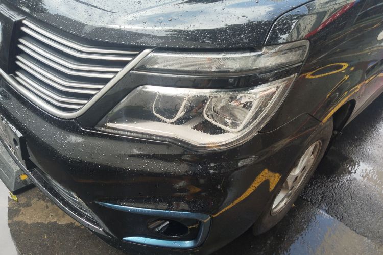 Forthing Lingzhi EV 2020 car image #10