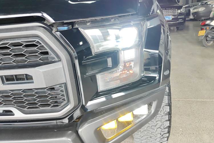 Ford F-150 Raptor 2017 #10 Ford F-150 Raptor 2017 car image #10