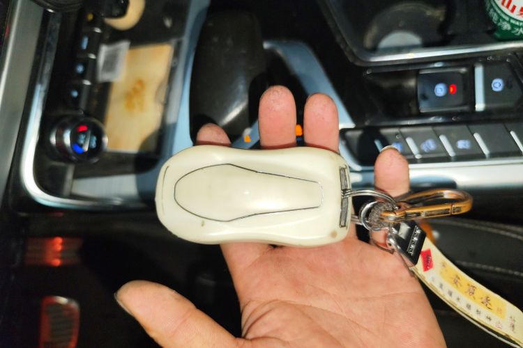 GEELY Tugella New Energy 2021 #10 GEELY Tugella New Energy 2021 car image #10