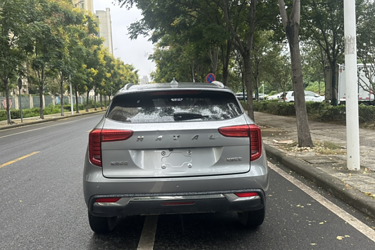 Haval Jolion 2021 car image #10