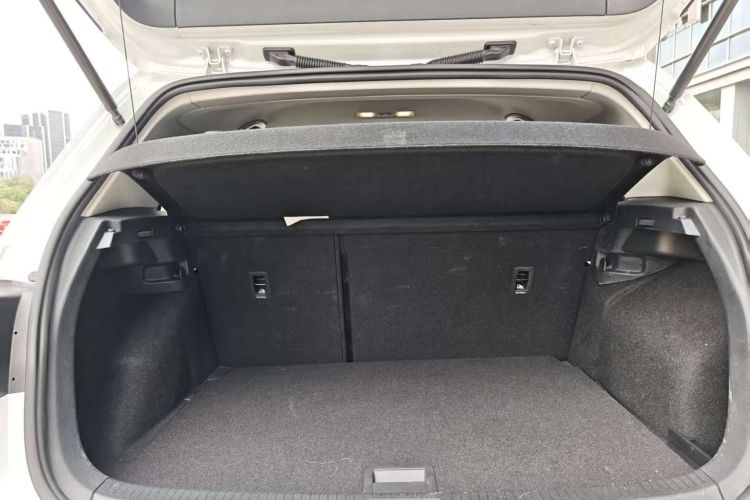 Volkswagen Golf Pure Electric 2021 car image #10