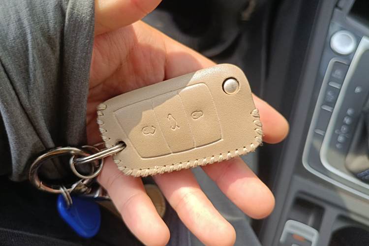 Volkswagen Golf Pure Electric 2020 image de voiture #10