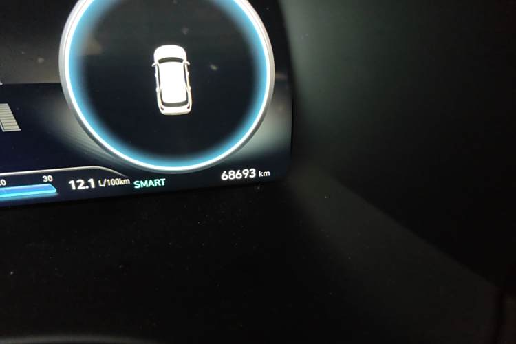 Hyundai Palisade 2022 car image #10