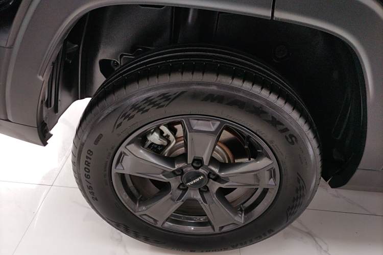 Haval Raptor 2024 car image #10