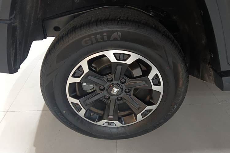 Tank 300 New Energy 2025 car image #10