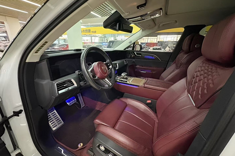 HongQi E-HS9 2021 immagine di auto #10